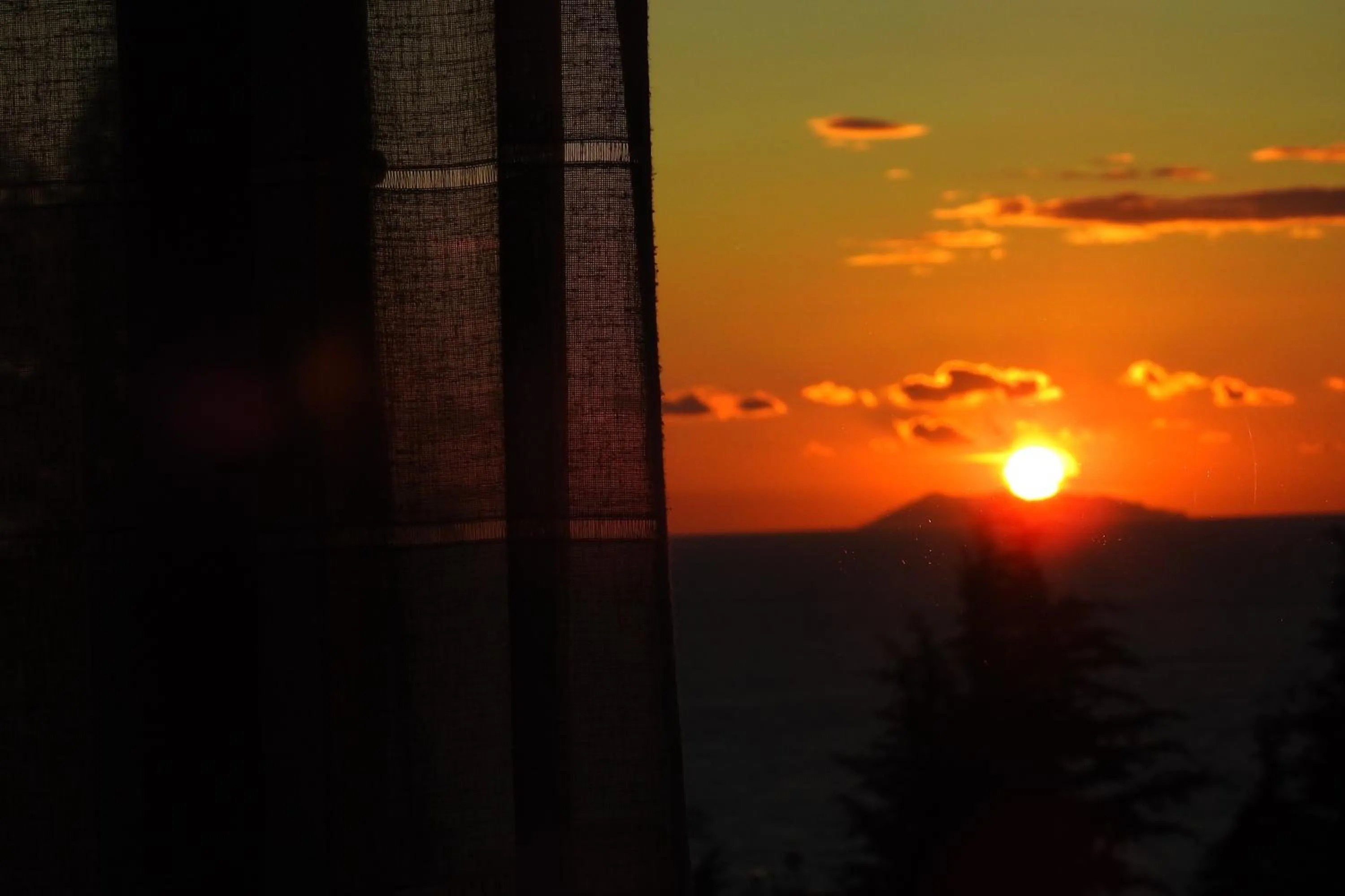 Garden view in Casa Noste Apartments