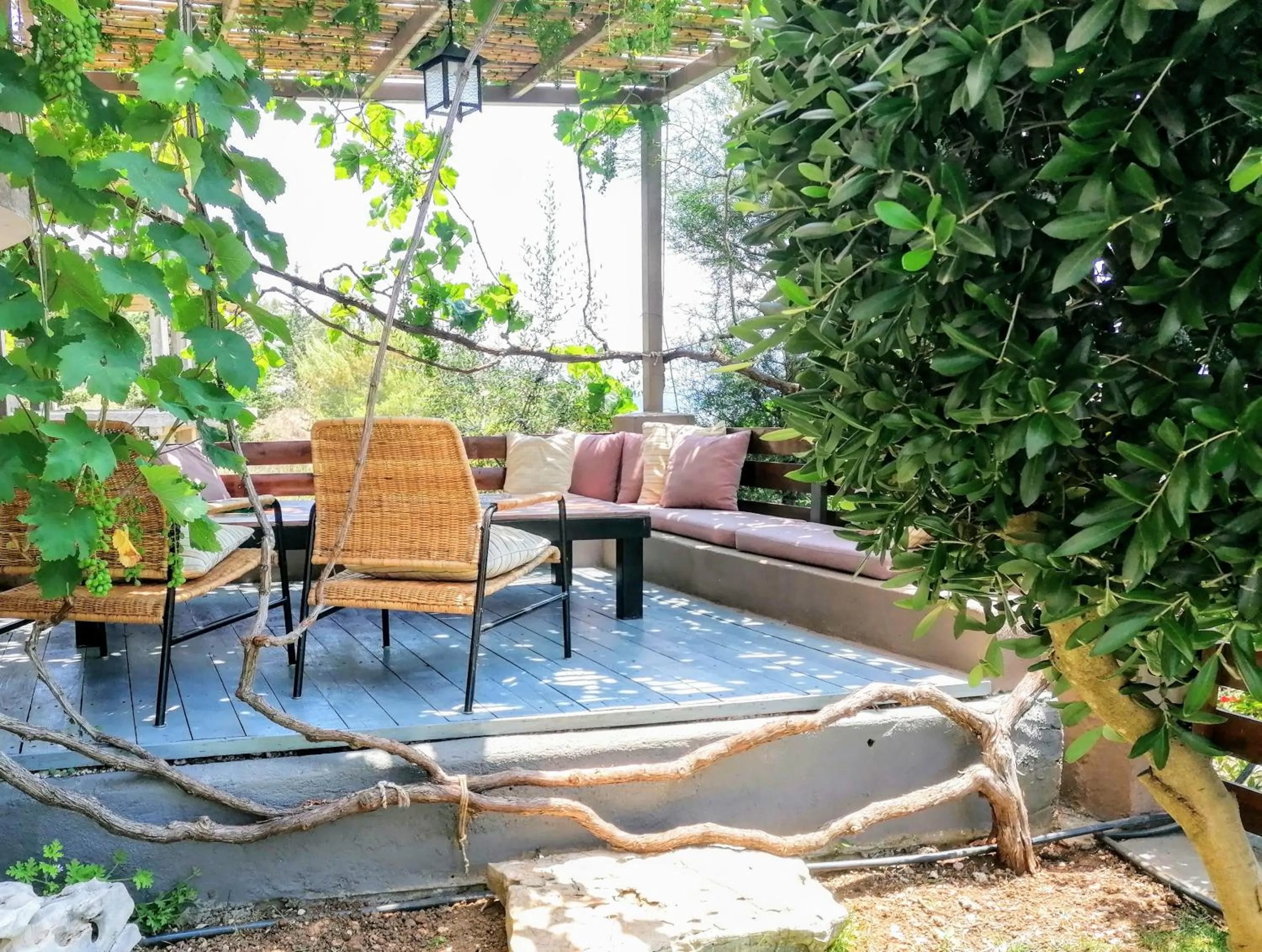 Patio in Casa Noste Apartments