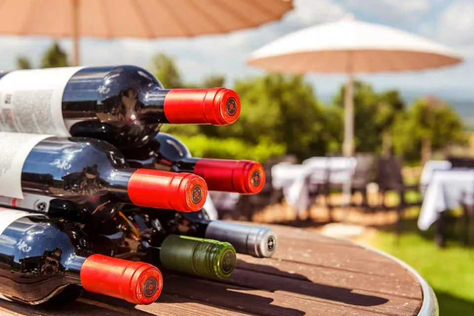 Restaurant/places to eat in Agriturismo & Cantina Tenuta Casteani