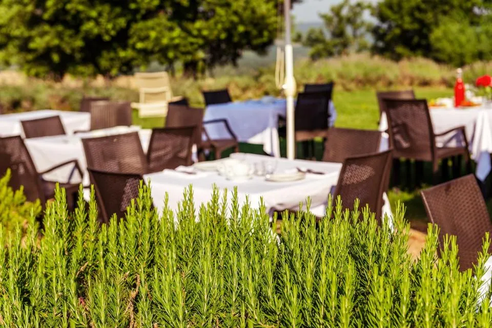 Restaurant/places to eat in Agriturismo & Cantina Tenuta Casteani