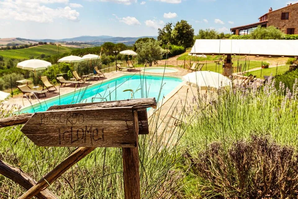 Swimming pool in Agriturismo & Cantina Tenuta Casteani
