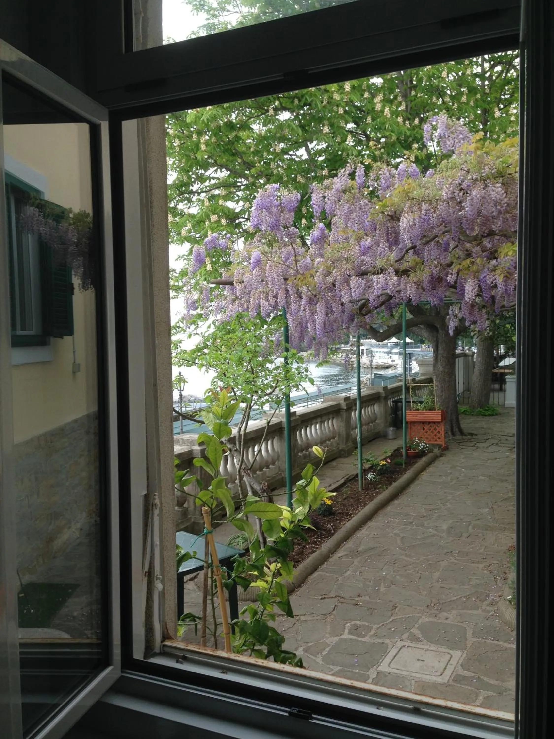 Facade/entrance in Villa Tergeste