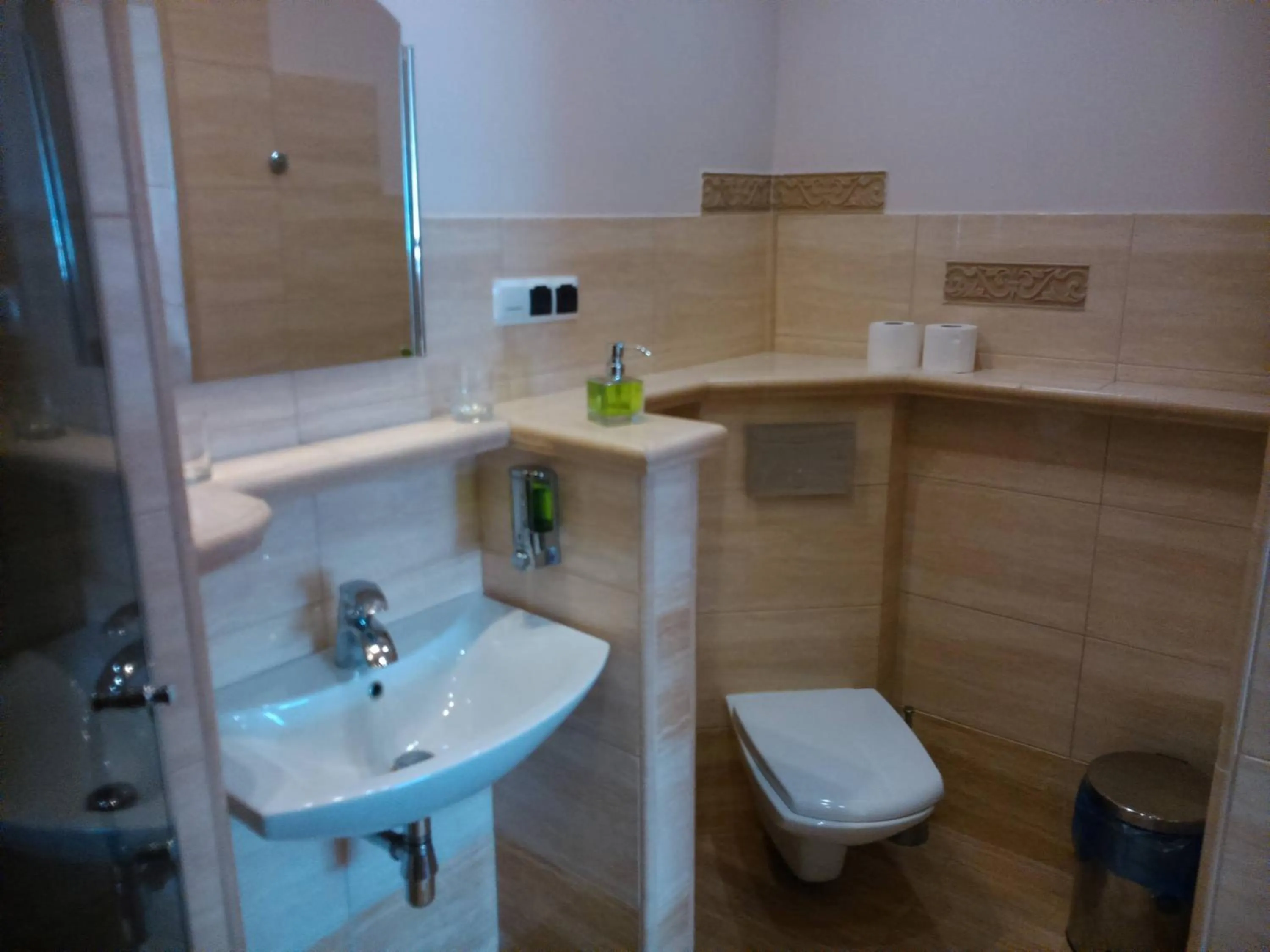 Toilet in Centrum Konferencyjne IBIB PAN