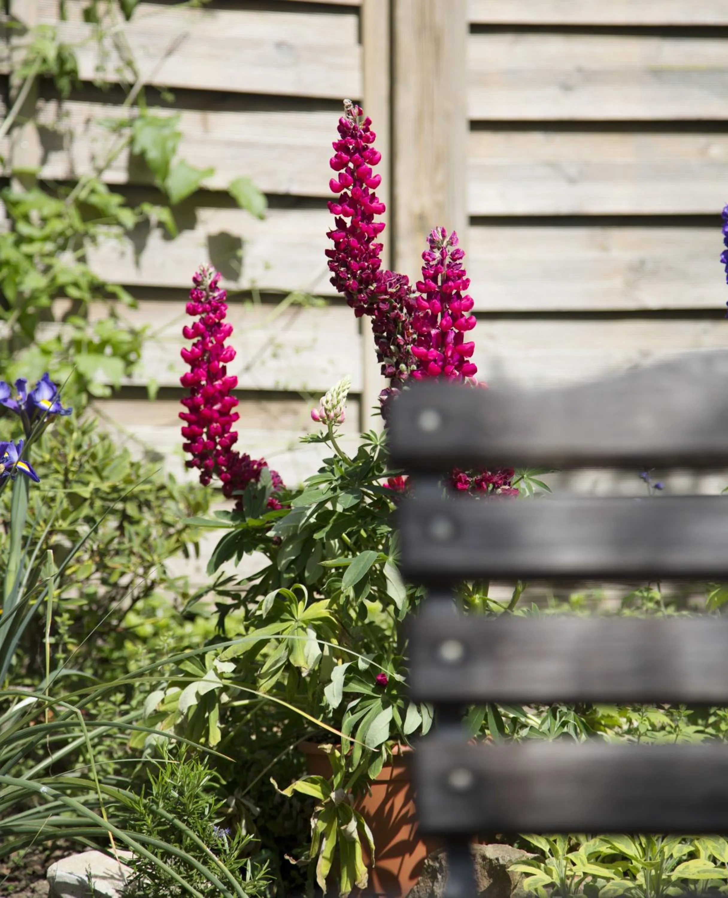 Garden in Der espenhof Landhotel, Tagungshotel & Weingut