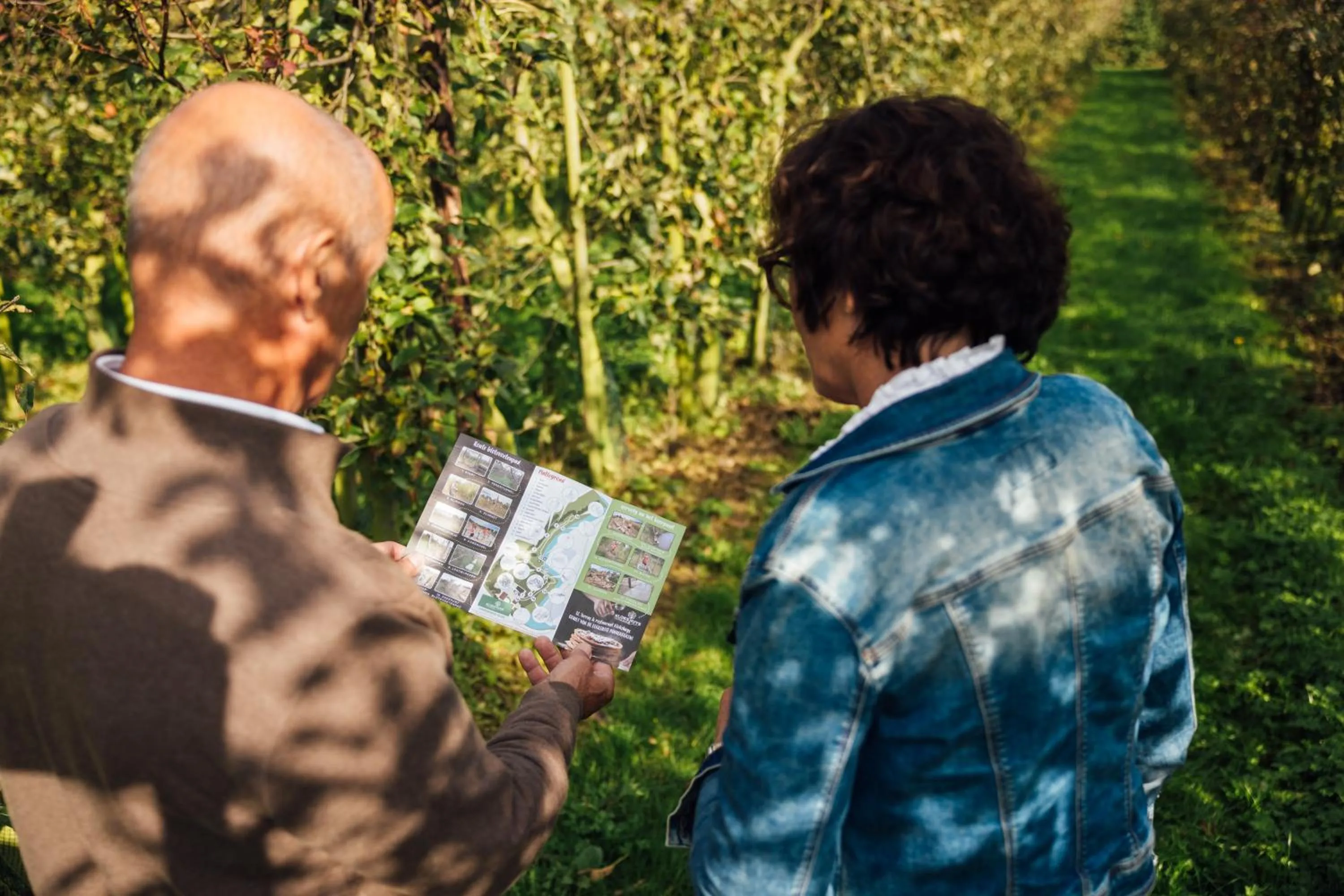 Restaurant/places to eat in Carlton Oasis Hotel