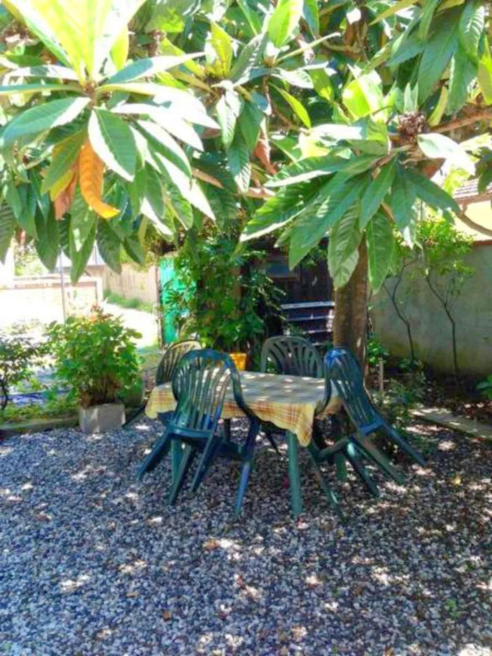 Eco B&B I Due Oleandri