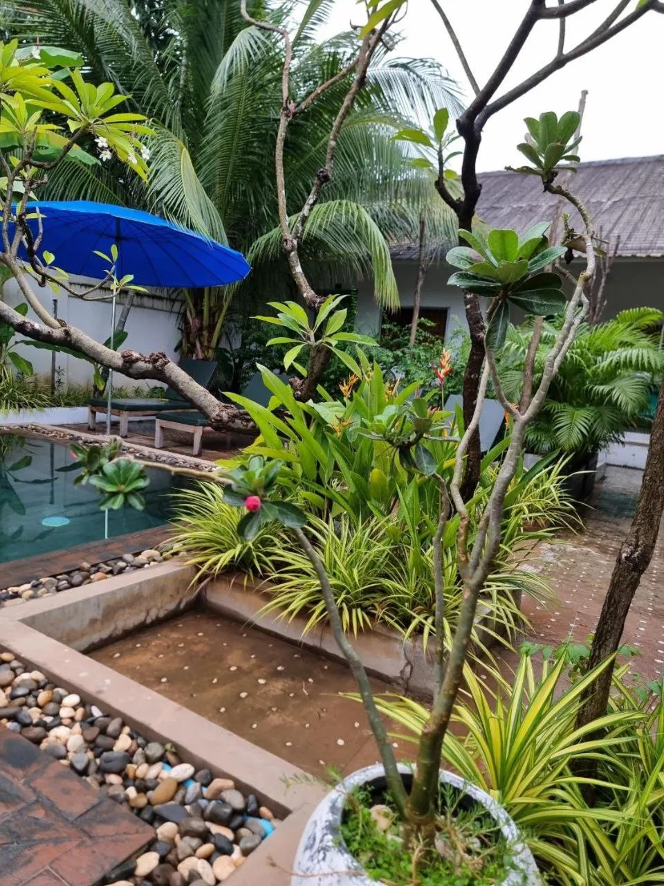 Swimming pool in Green BOUTiQUE