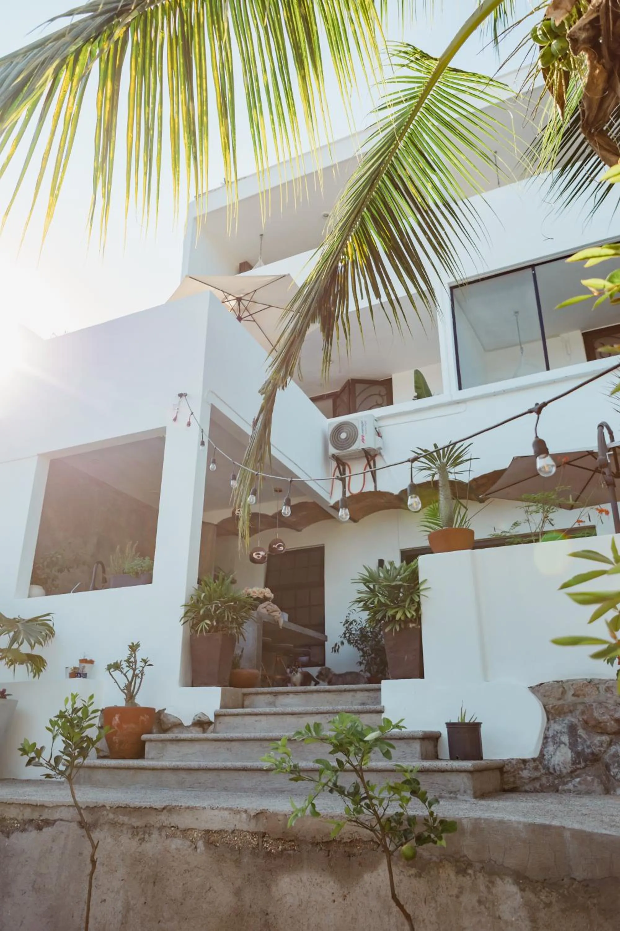 Property building in Casa Fenix