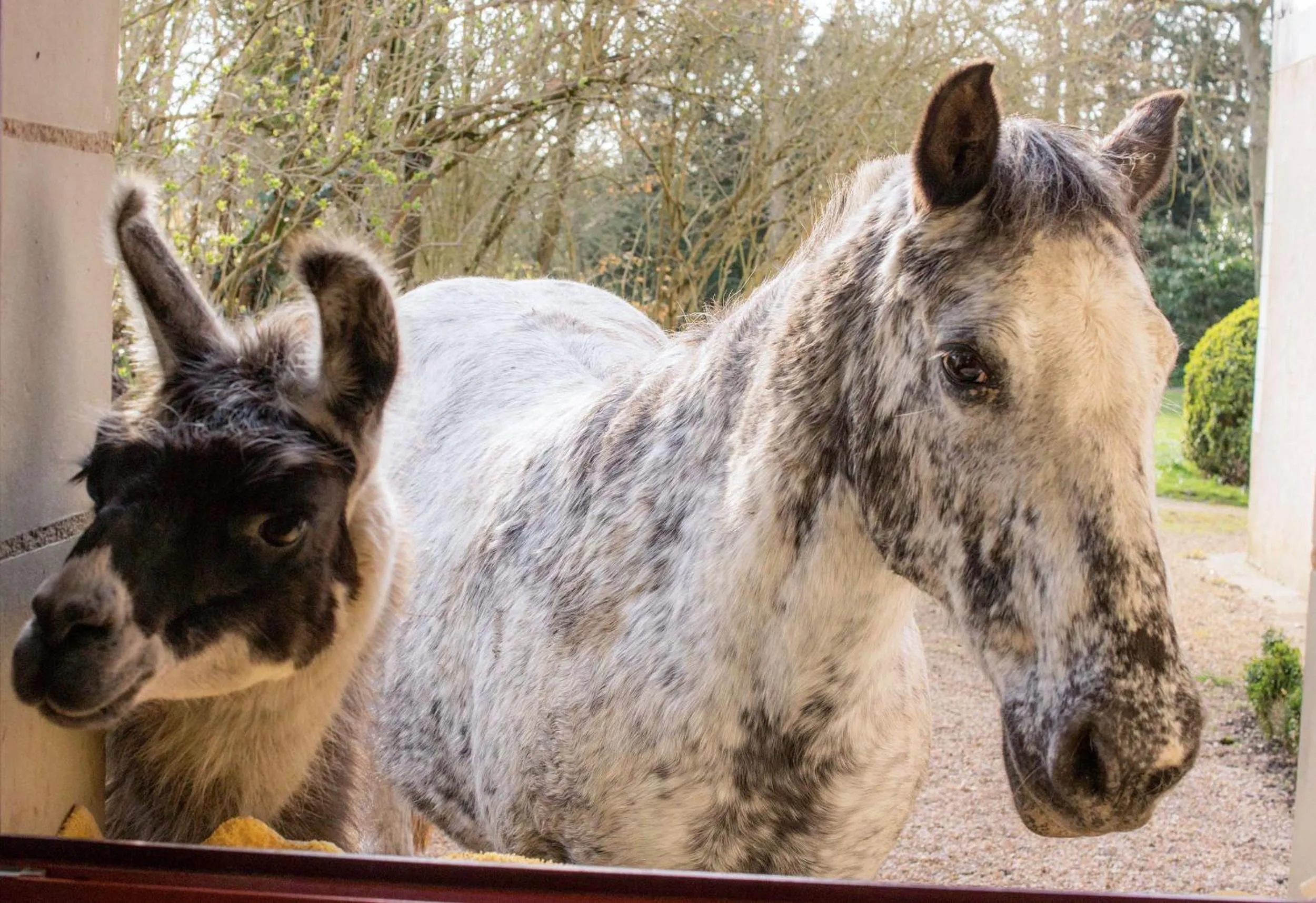 Property building in Manoir de la Maison Blanche