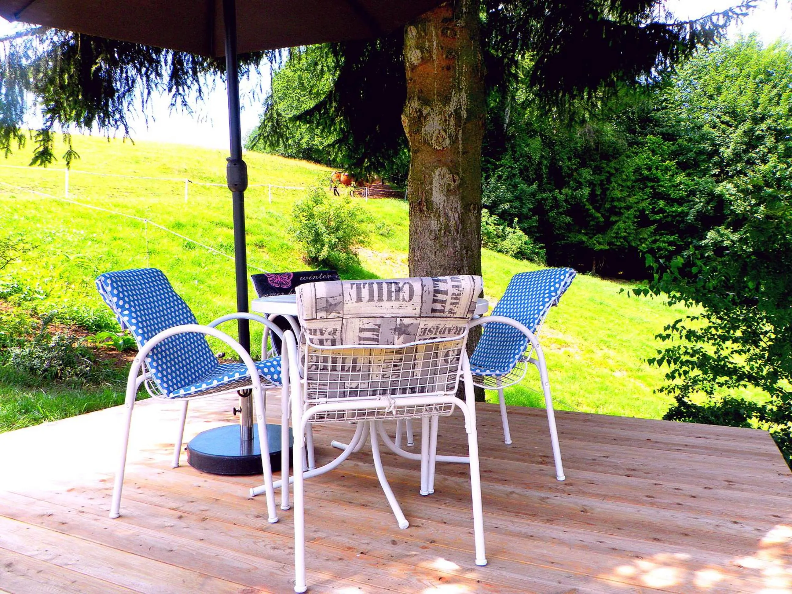 Garden in Penzion Bor