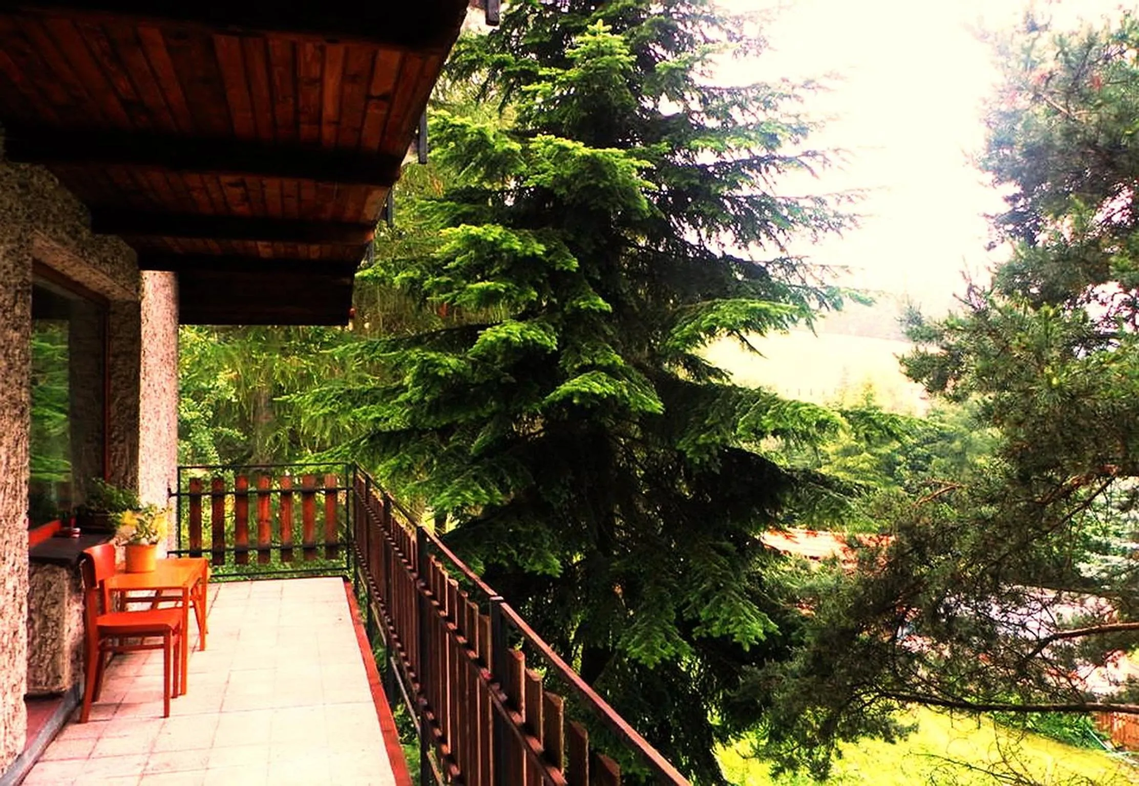 Garden view in Penzion Bor
