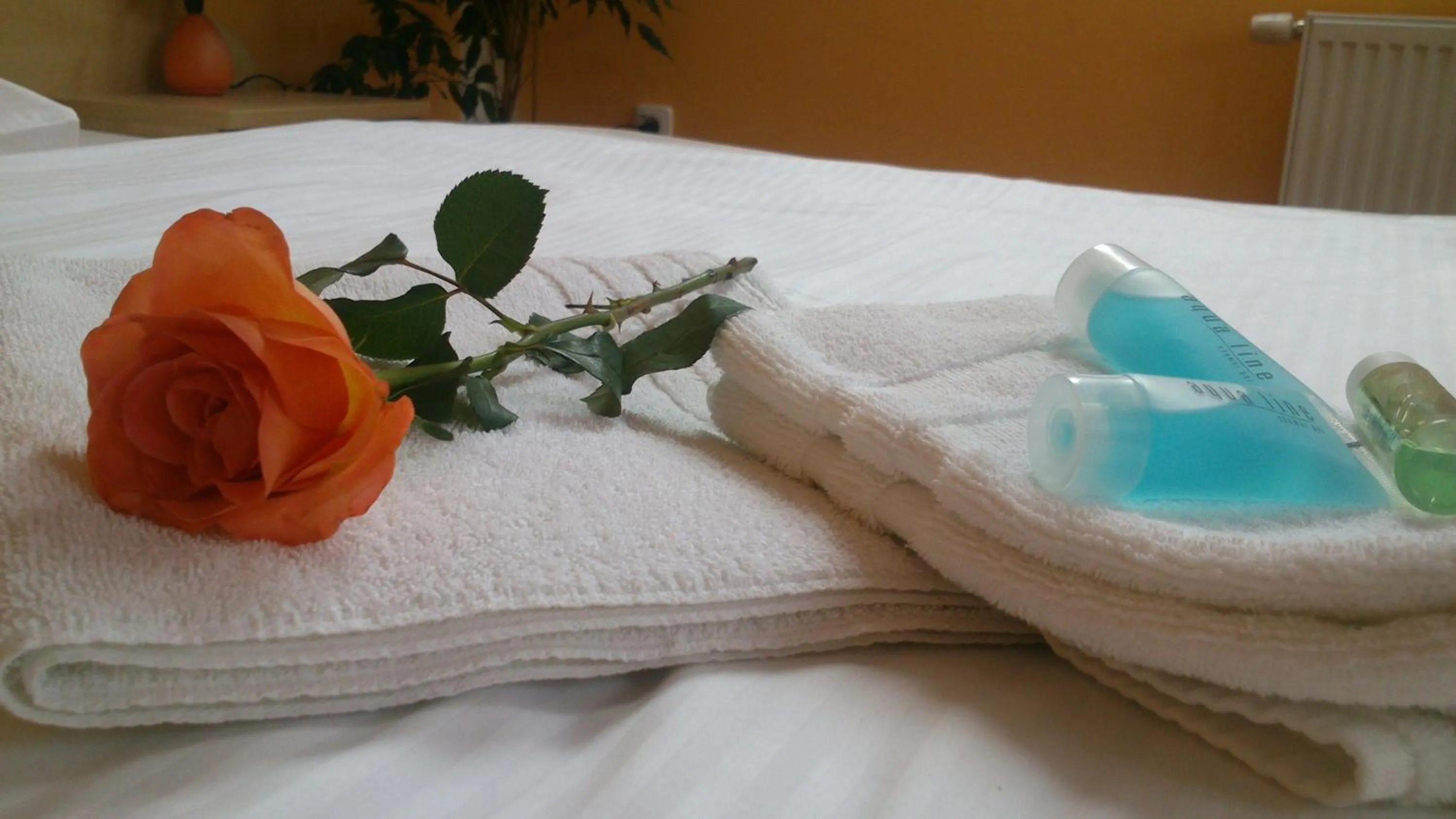 Decorative detail, Bed in Hotel & Motorest V Údolí Zlatého potoka