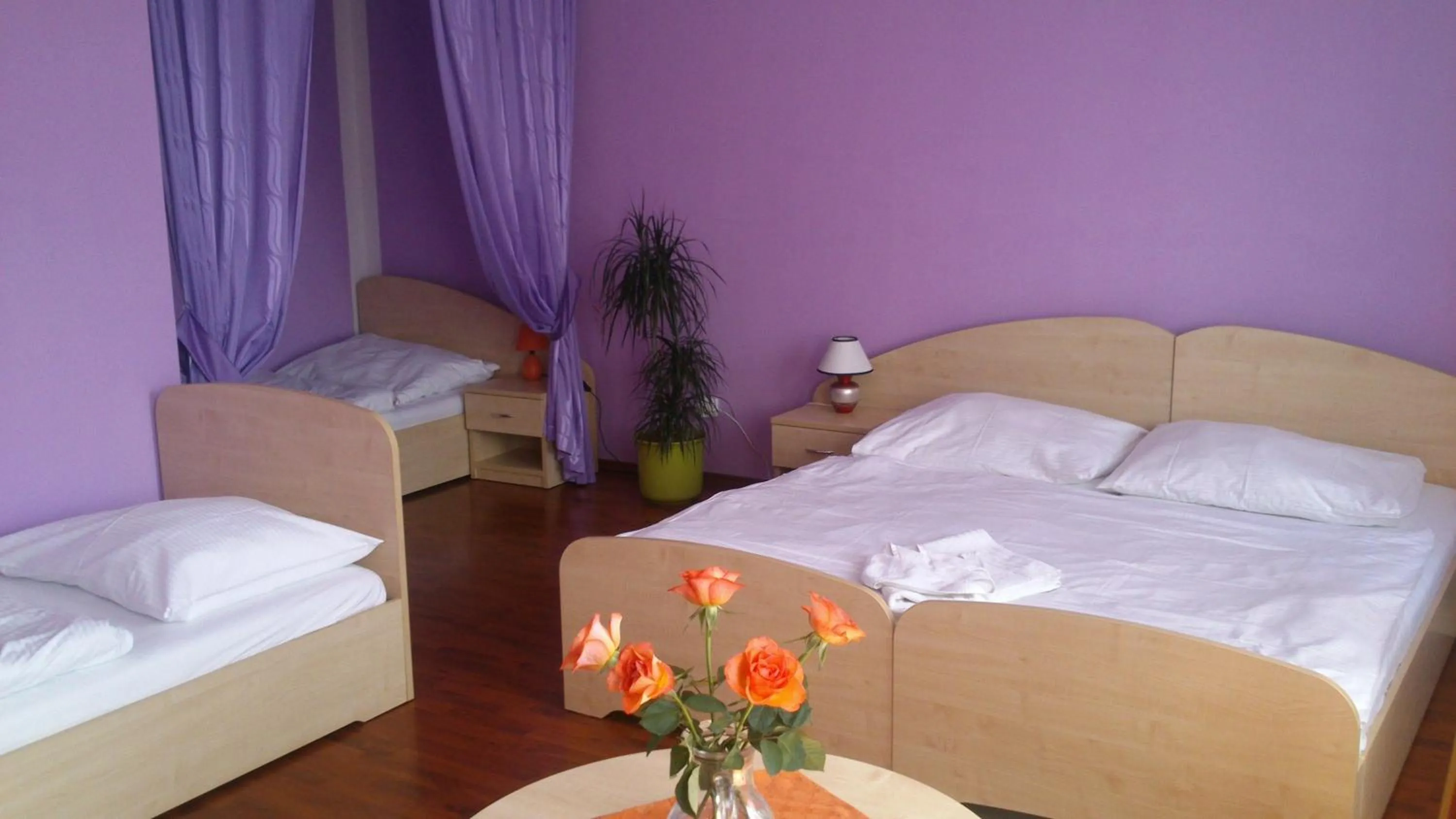 Bed in Hotel & Motorest V Údolí Zlatého potoka