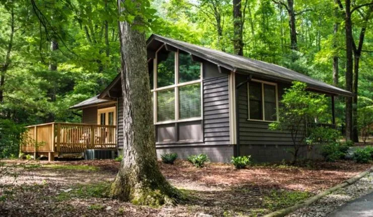 Amicalola Falls State Park and Lodge