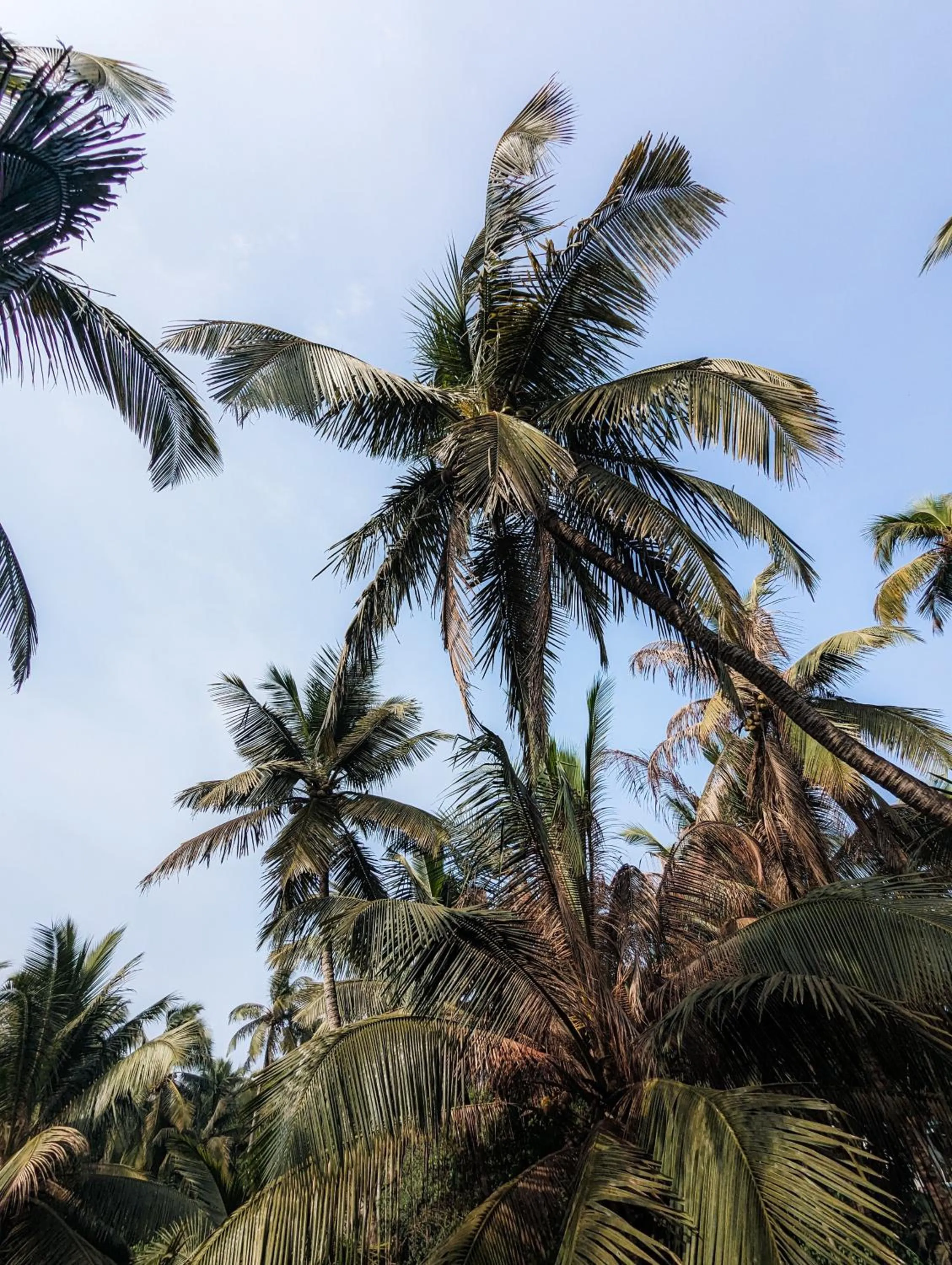 View (from property/room) in Swati