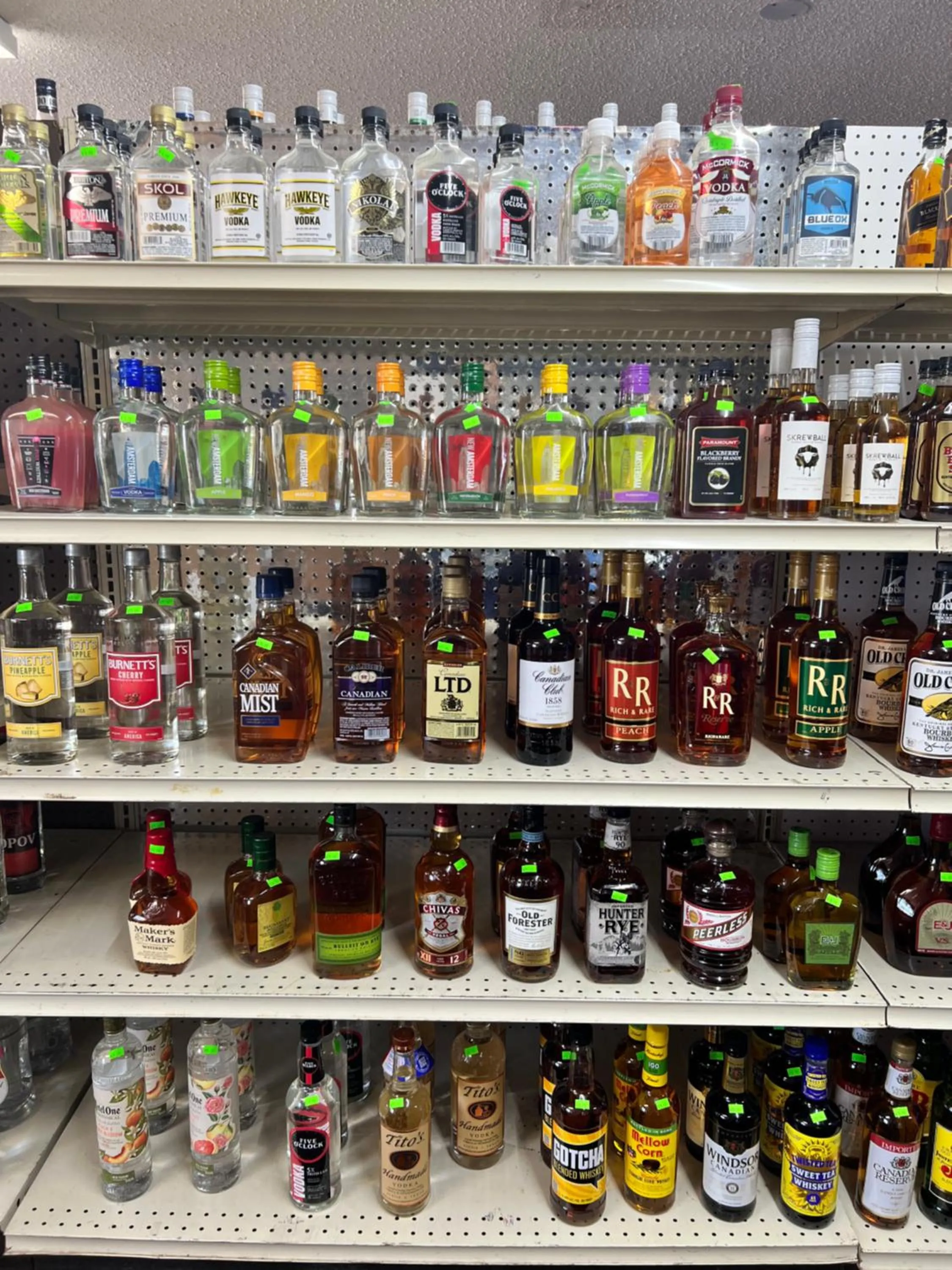 Designer Inn and Suites