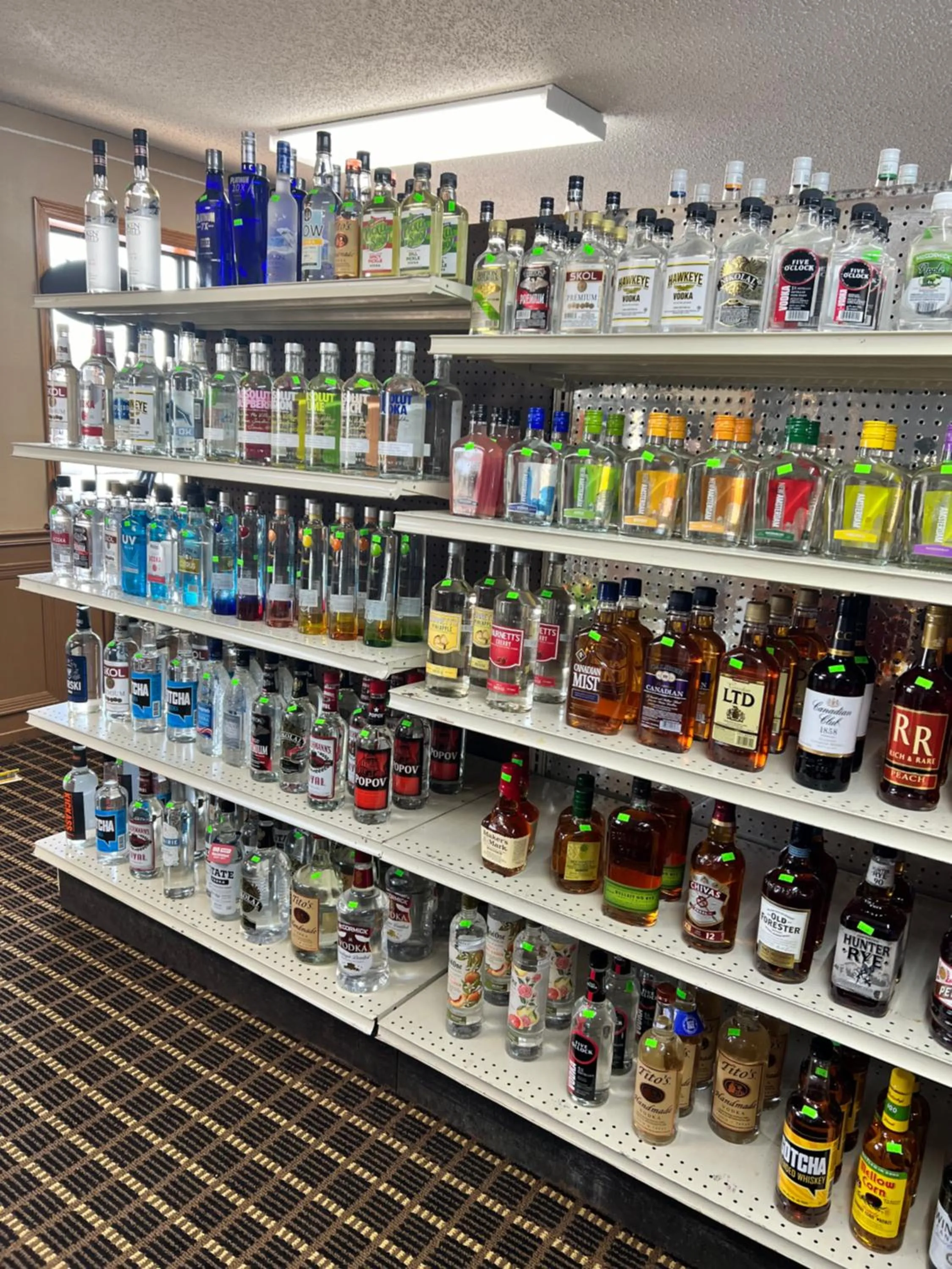 Designer Inn and Suites