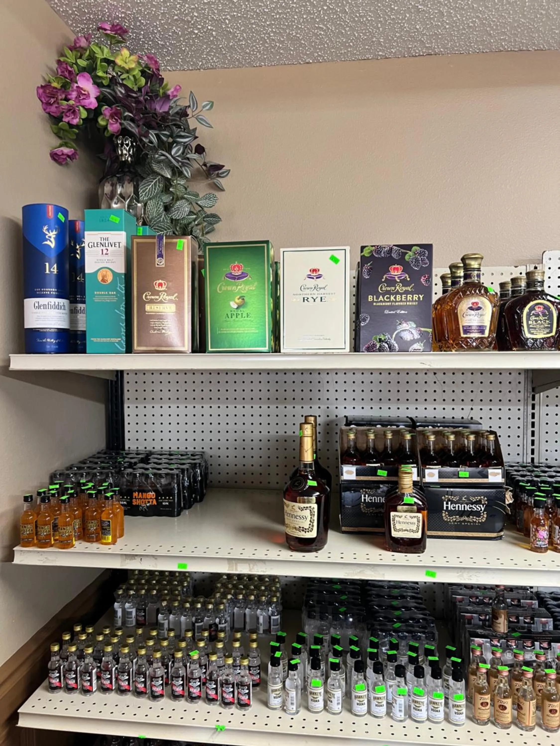 Designer Inn and Suites