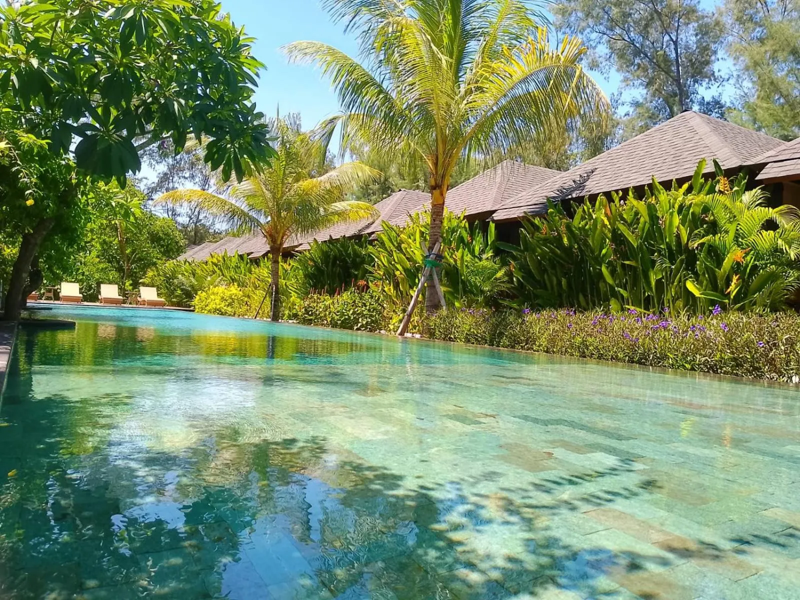 Swimming pool in Villa Penyu Gili Trawangan