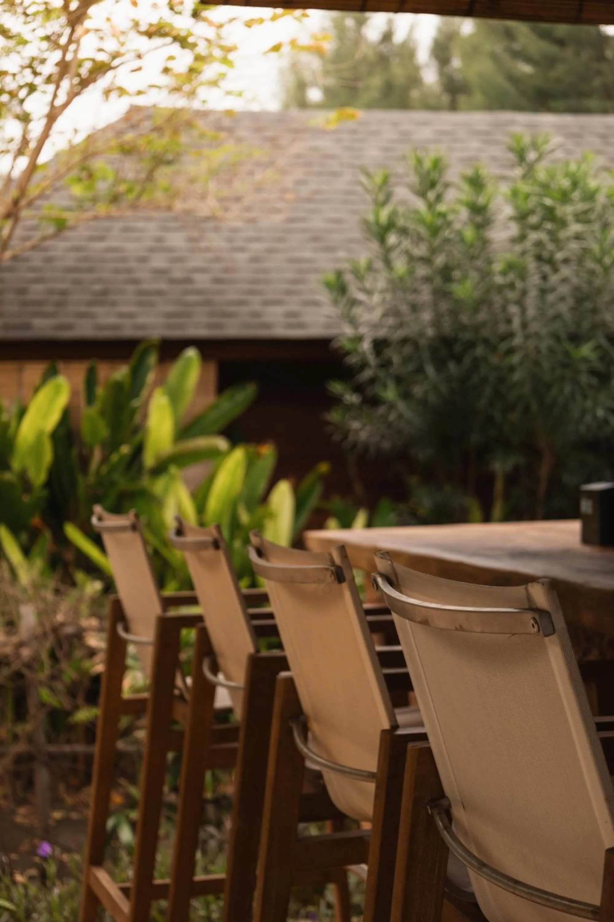 Restaurant/places to eat in Villa Penyu Gili Trawangan