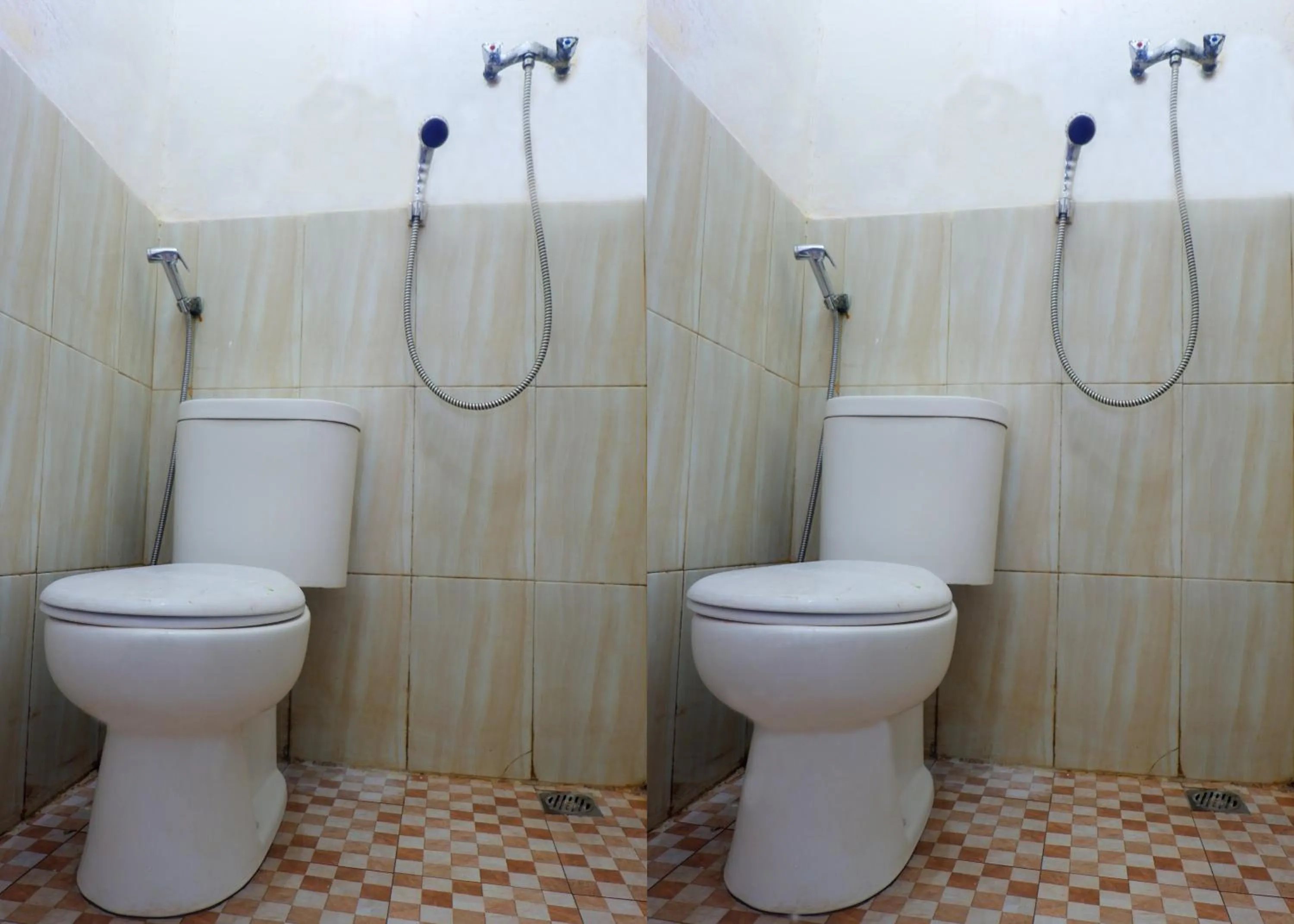 Toilet in Kasmarani Homestay