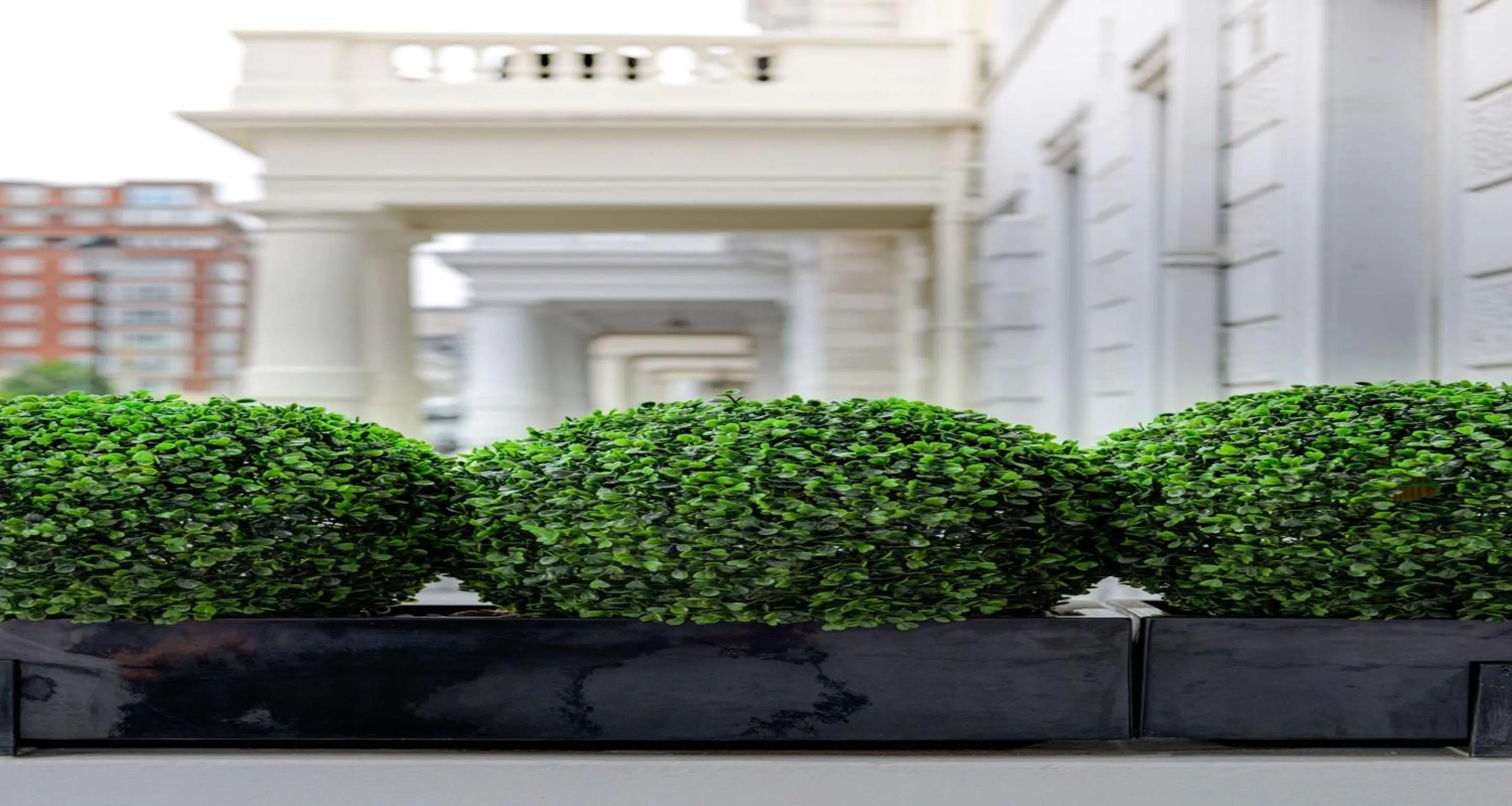 Property building in Best Western Mornington Hotel Hyde Park