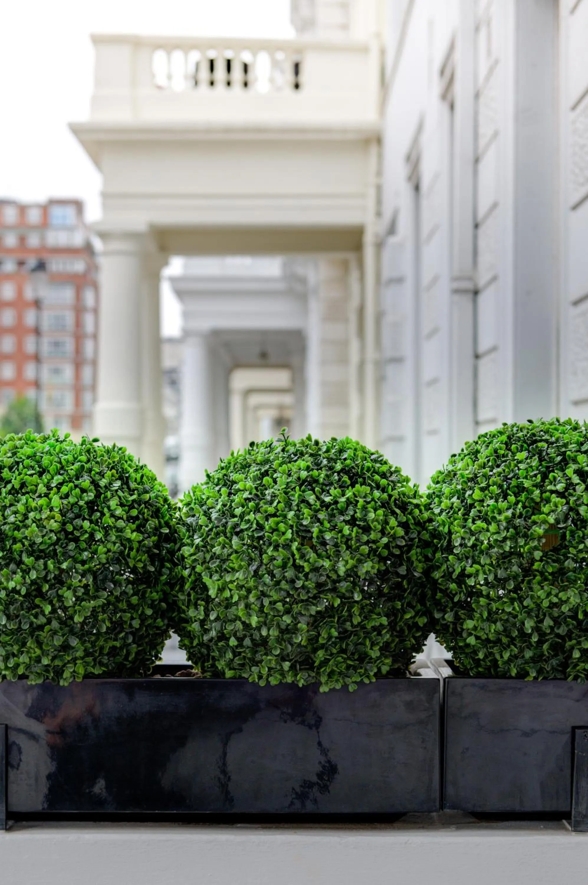 Facade/entrance in Best Western Mornington Hotel Hyde Park