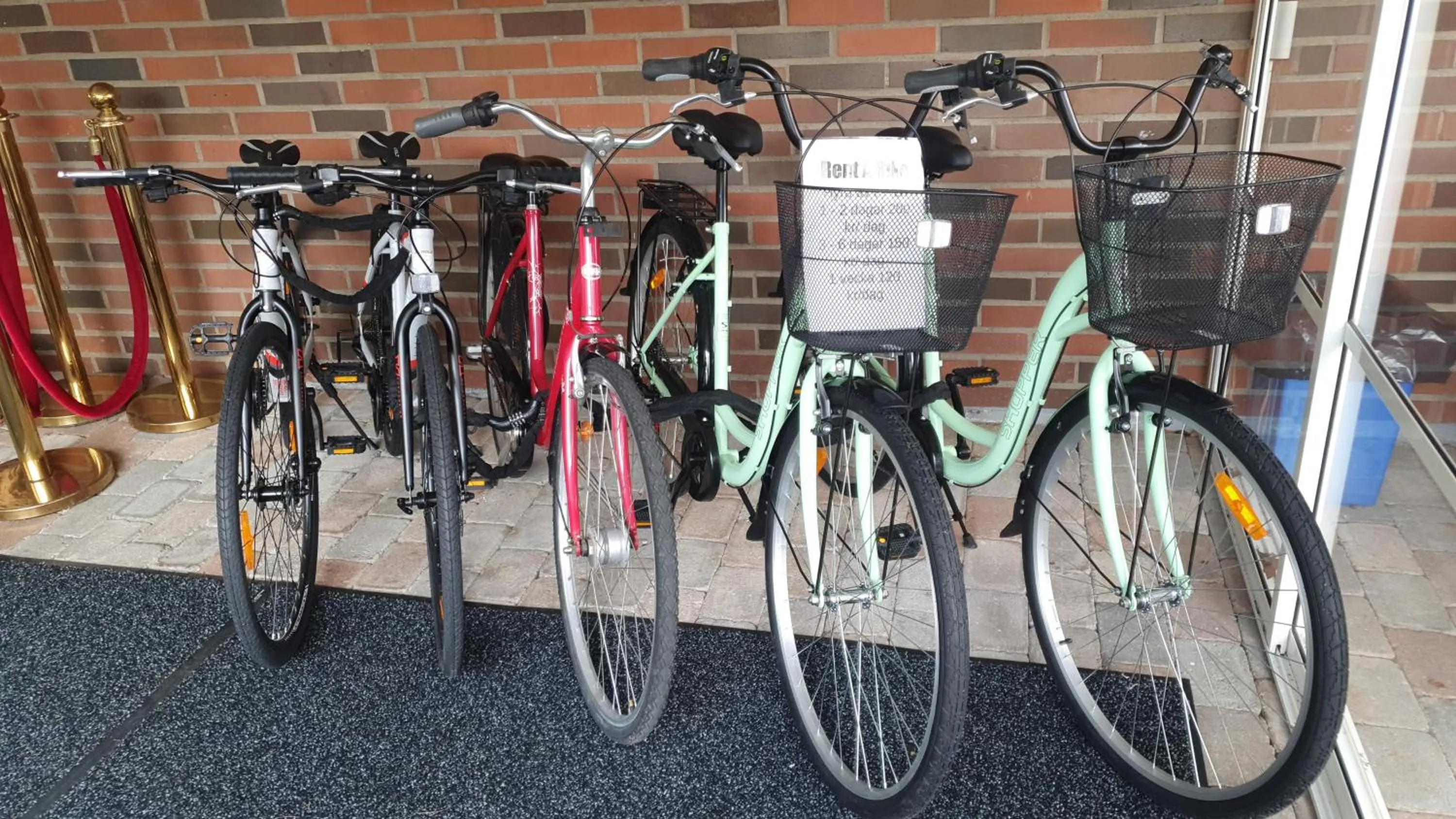 Cycling in Hotel Fritza