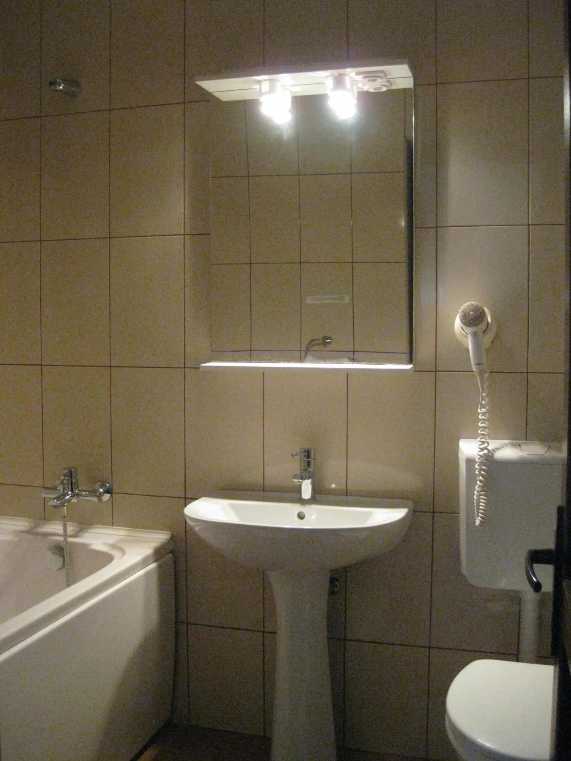 Bathroom in Hotel Anina