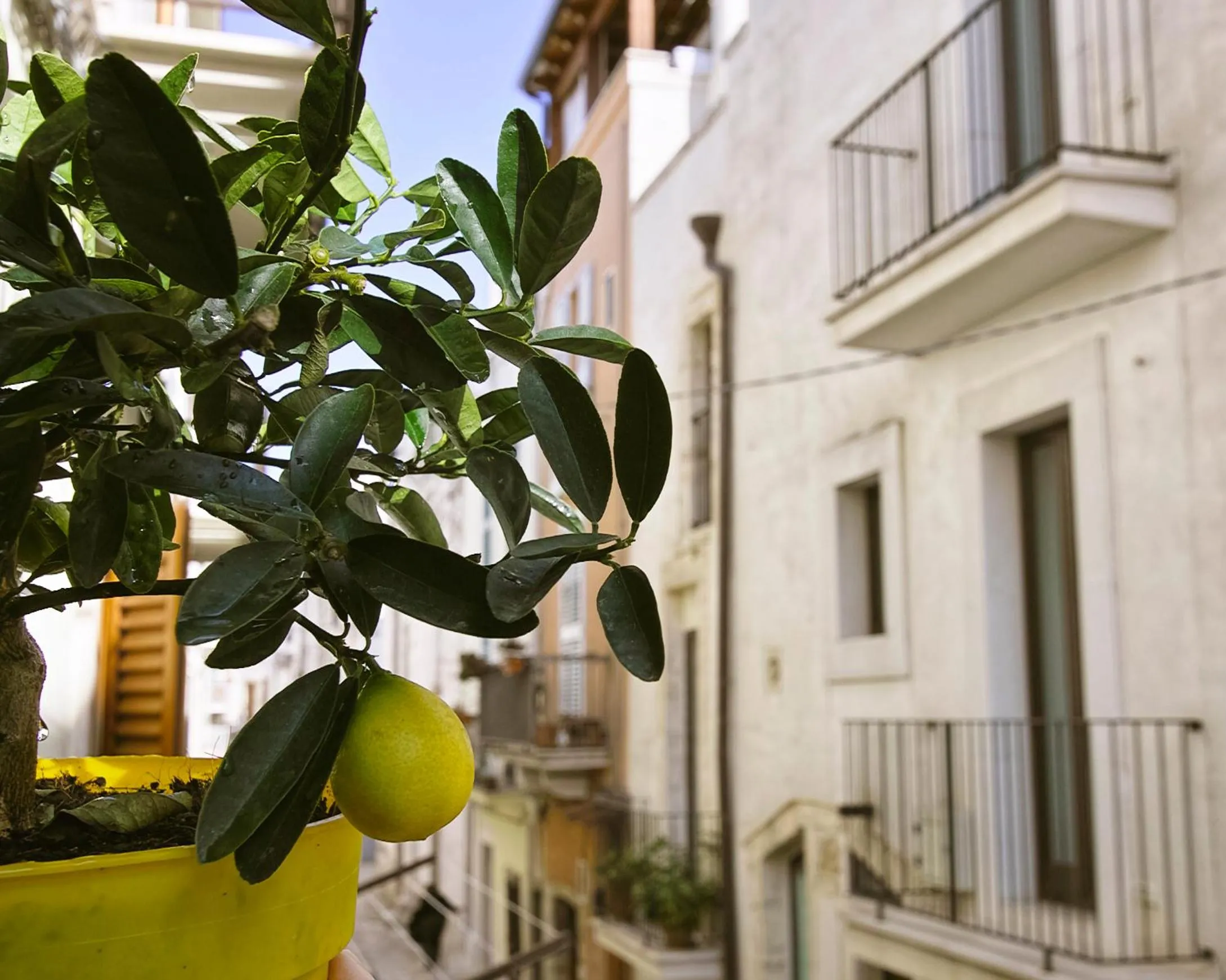 Facade/entrance in Dimora Nonna Rosa