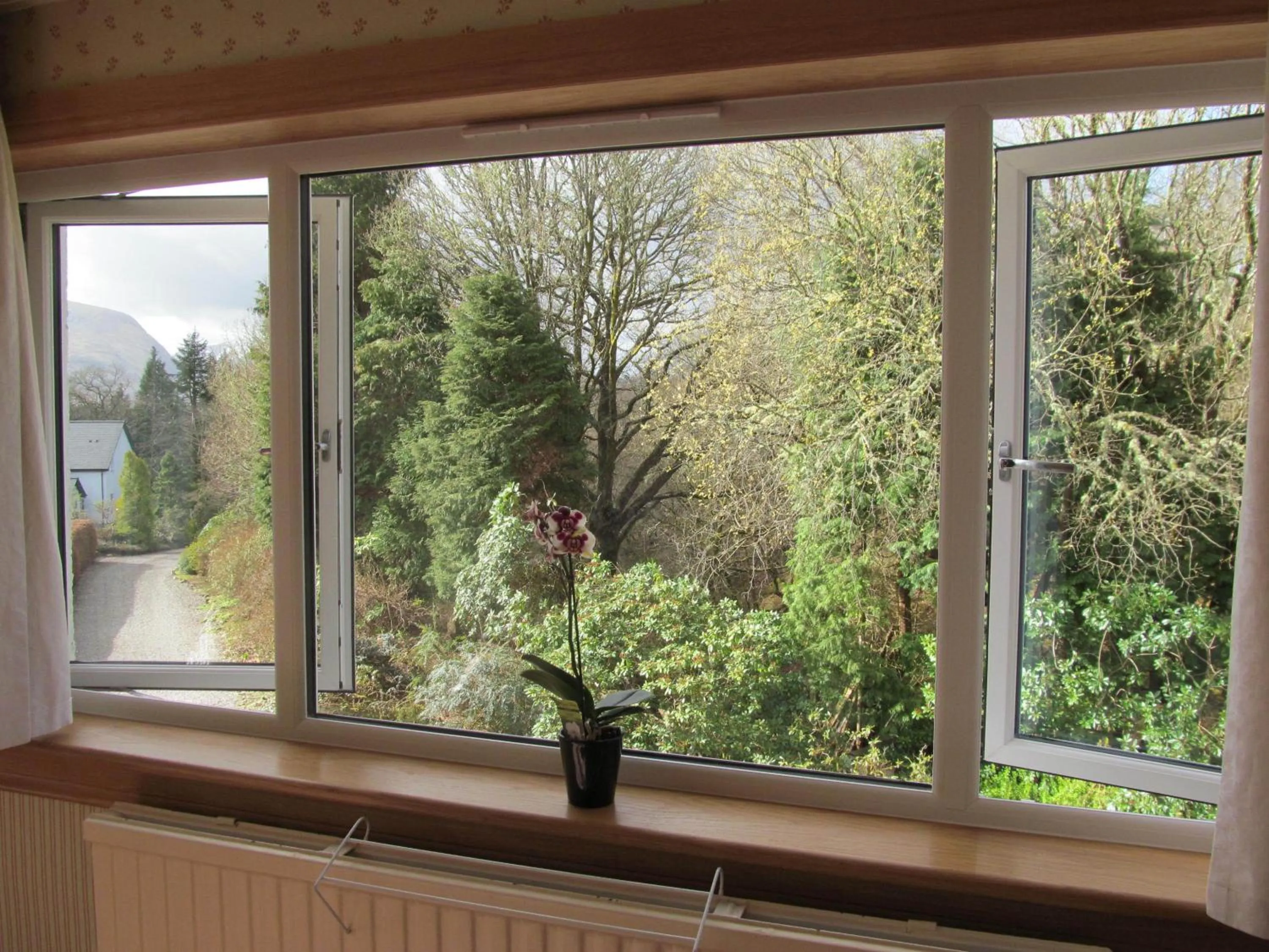 View (from property/room) in Torbeag House