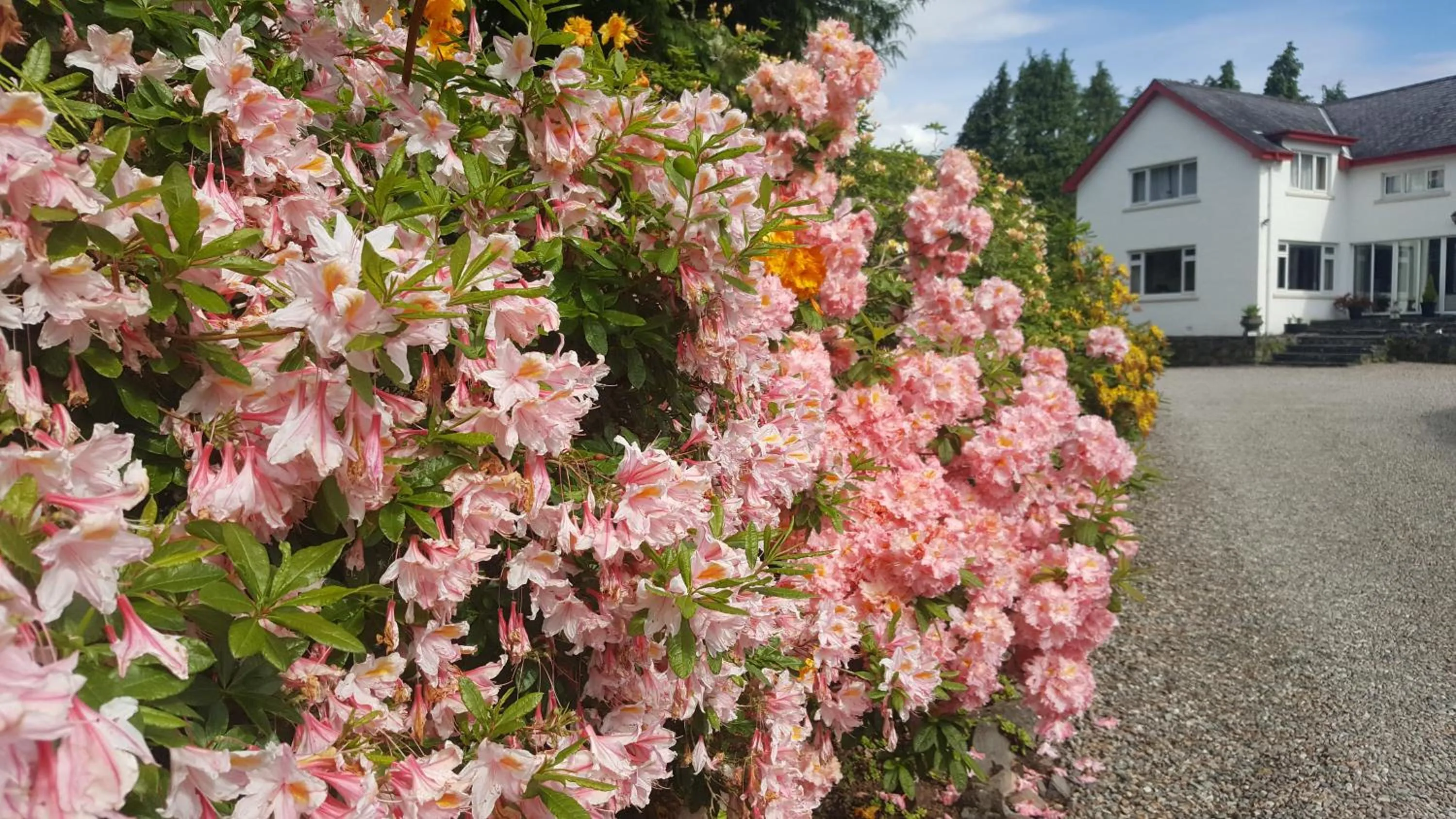Facade/entrance in Torbeag House