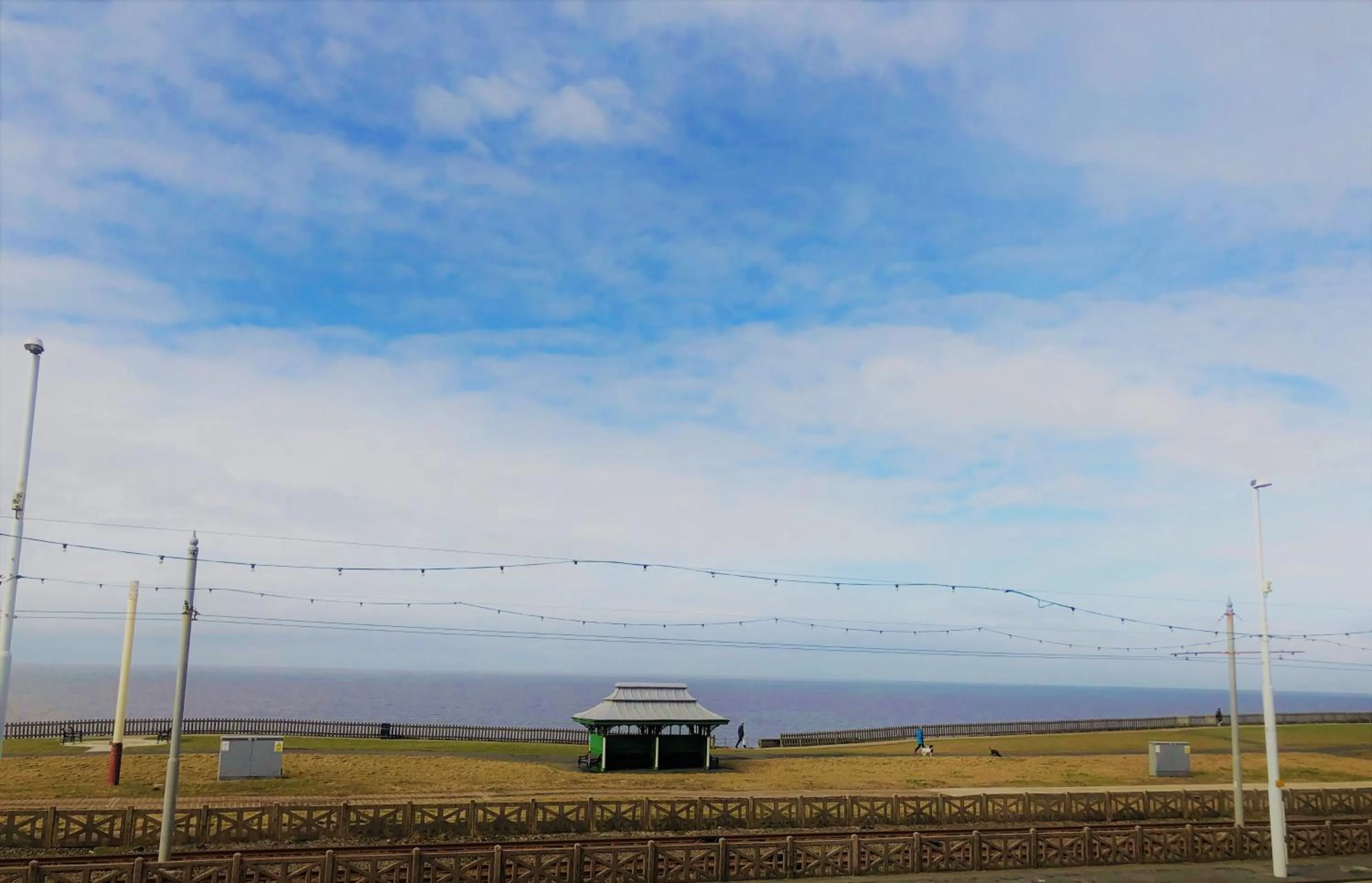 Sea view in The Fossil Tree Hotel