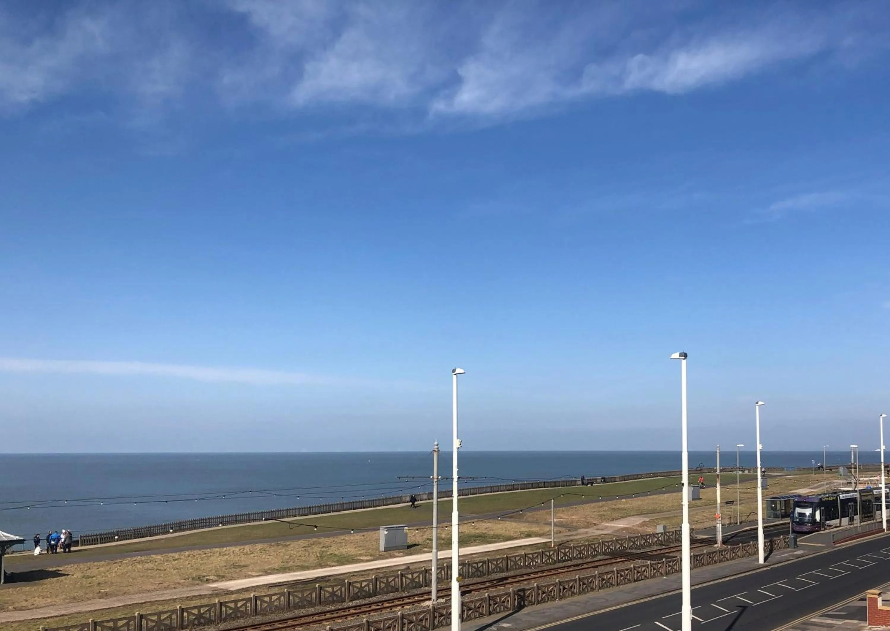 Sea view in The Fossil Tree Hotel