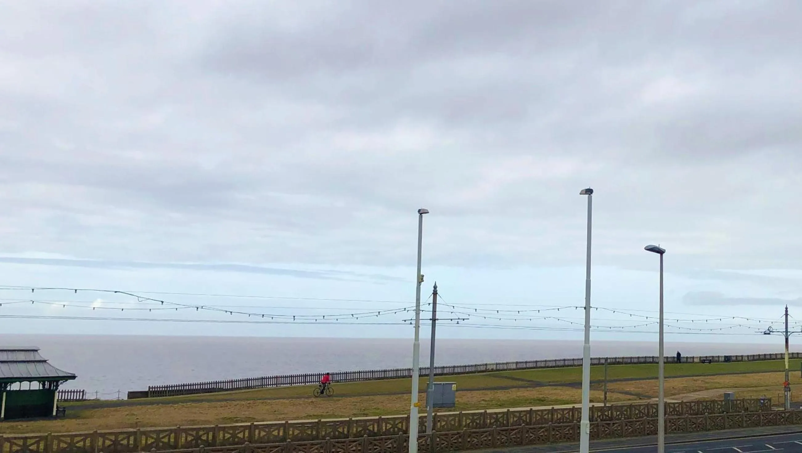 Sea view in The Fossil Tree Hotel