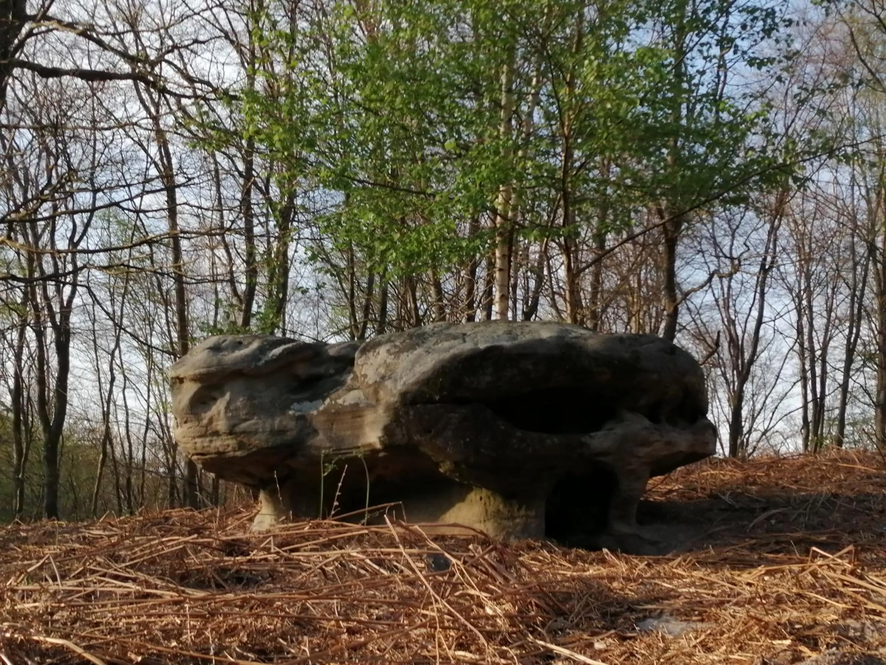 Natural landscape in Ma Gentilhommière