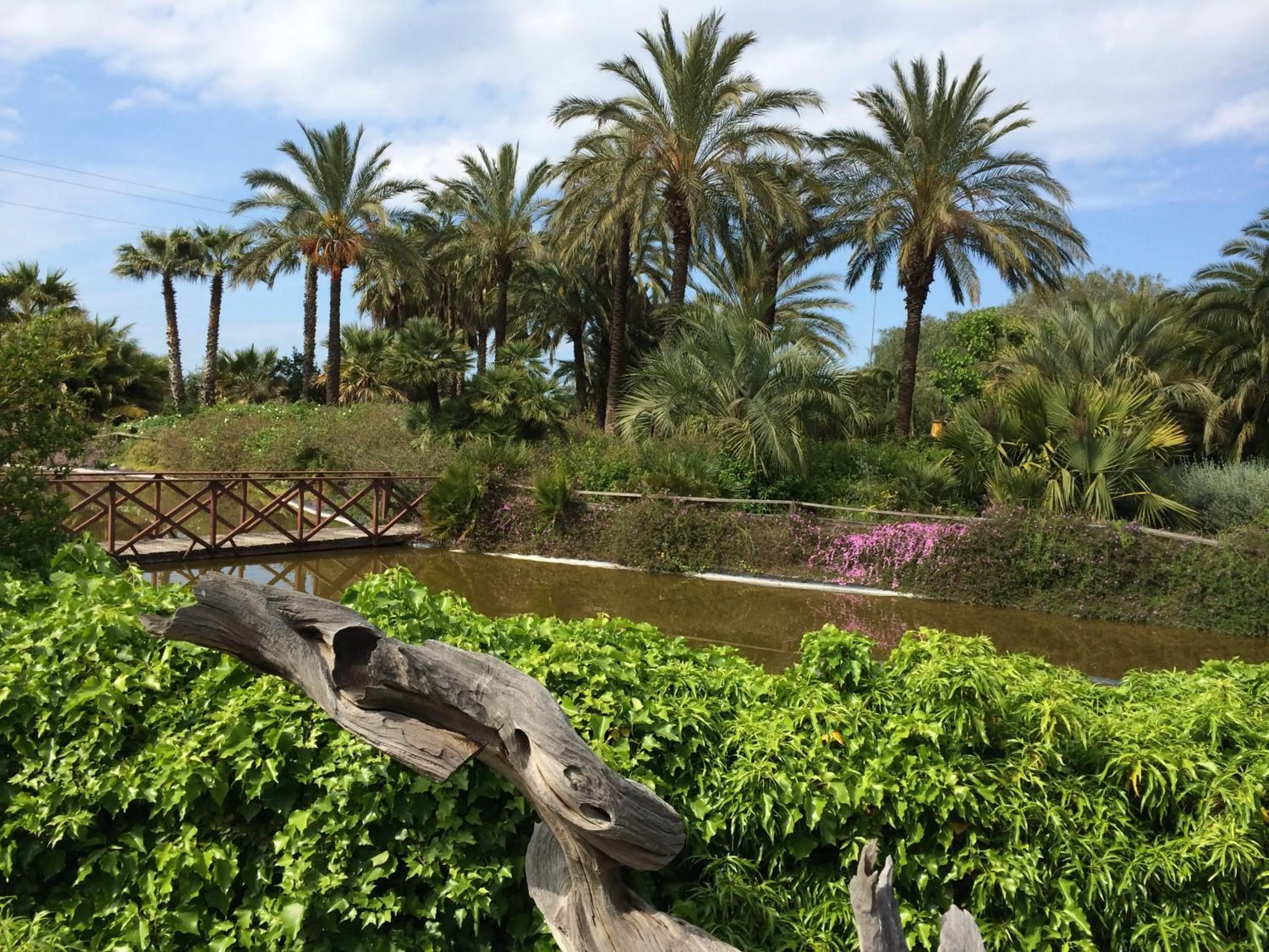Garden in Seven Maze Charming House