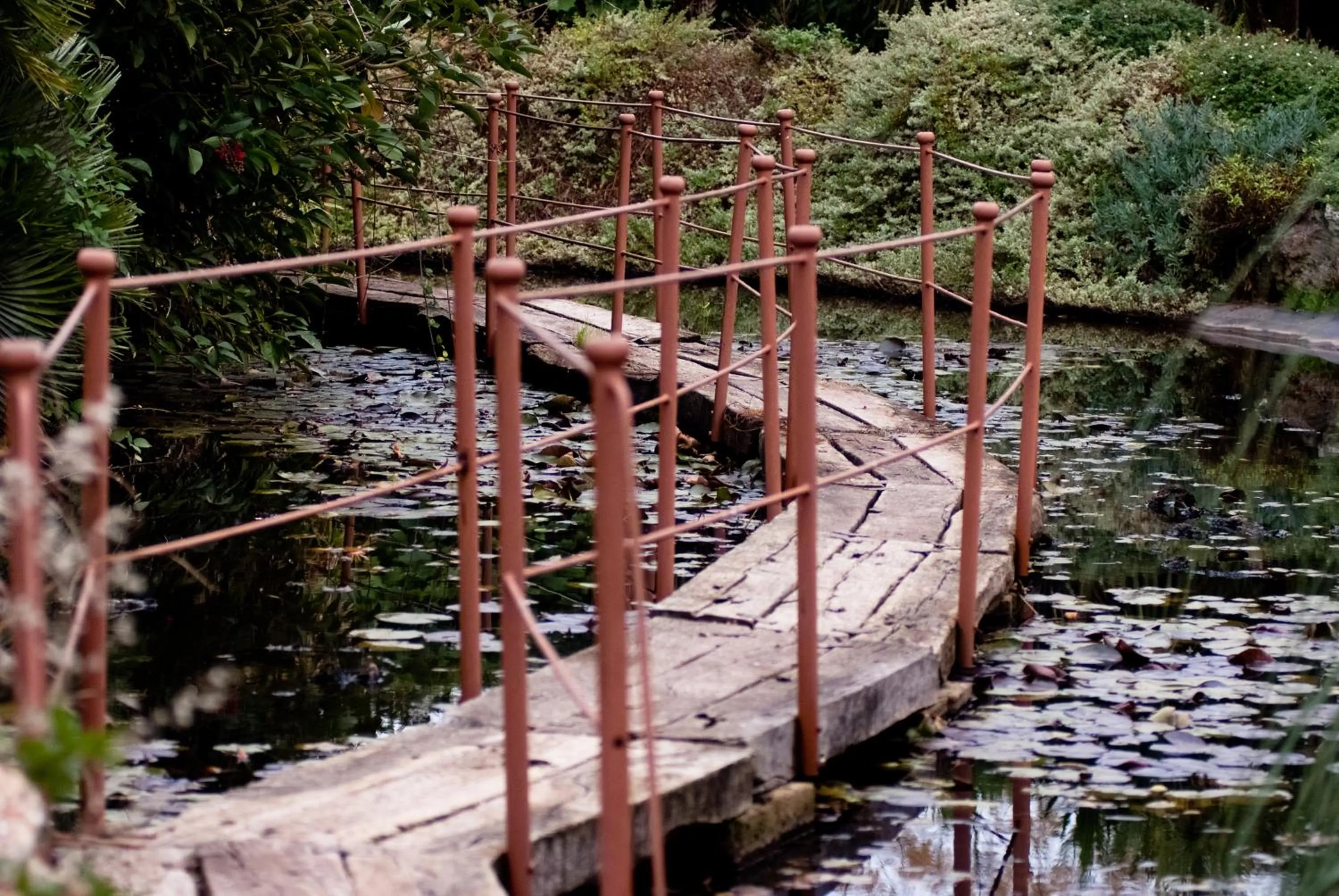 Garden in Seven Maze Charming House