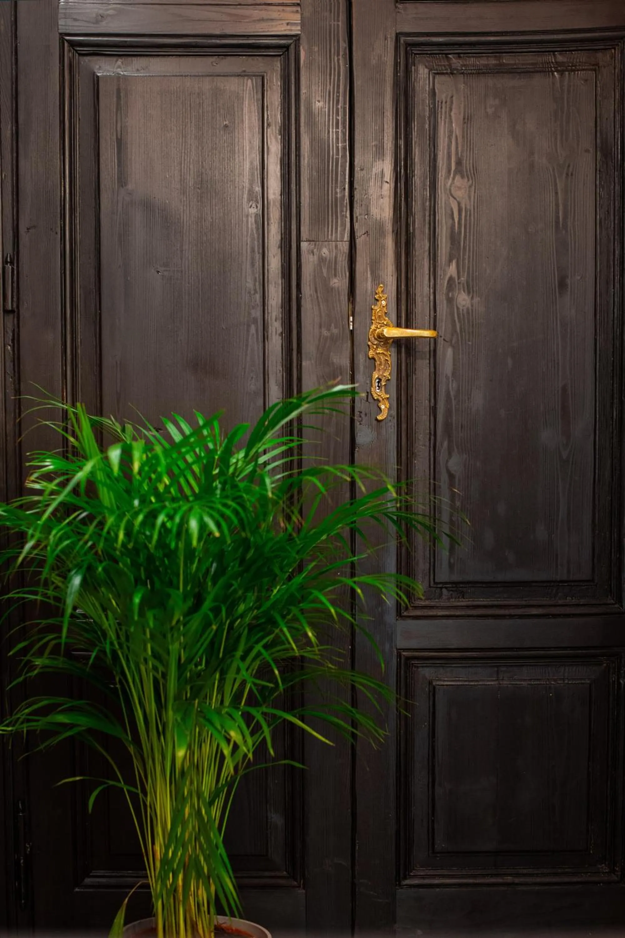 Lobby or reception in HOTEL TEATR