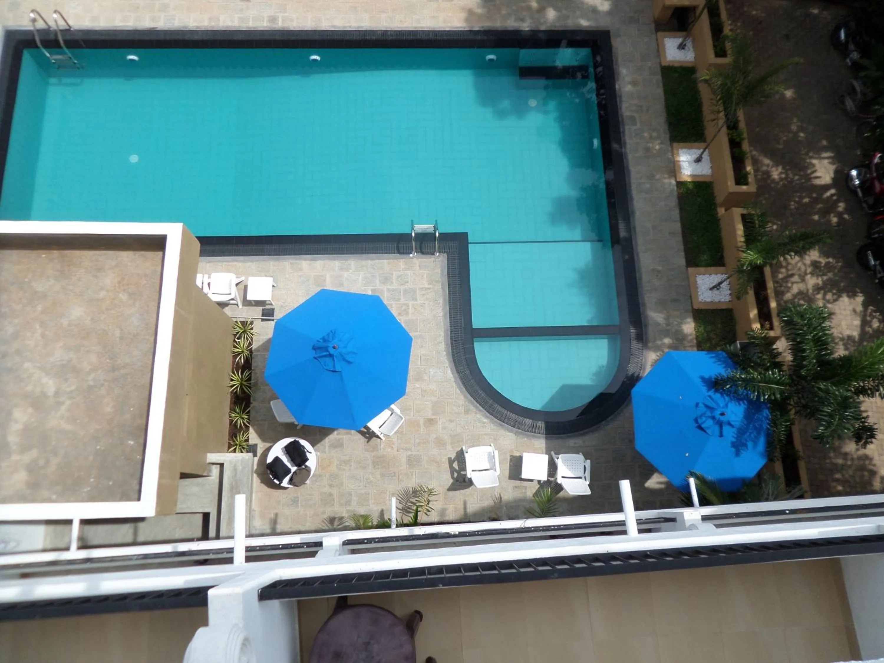 Swimming pool in Ceylan Lodge