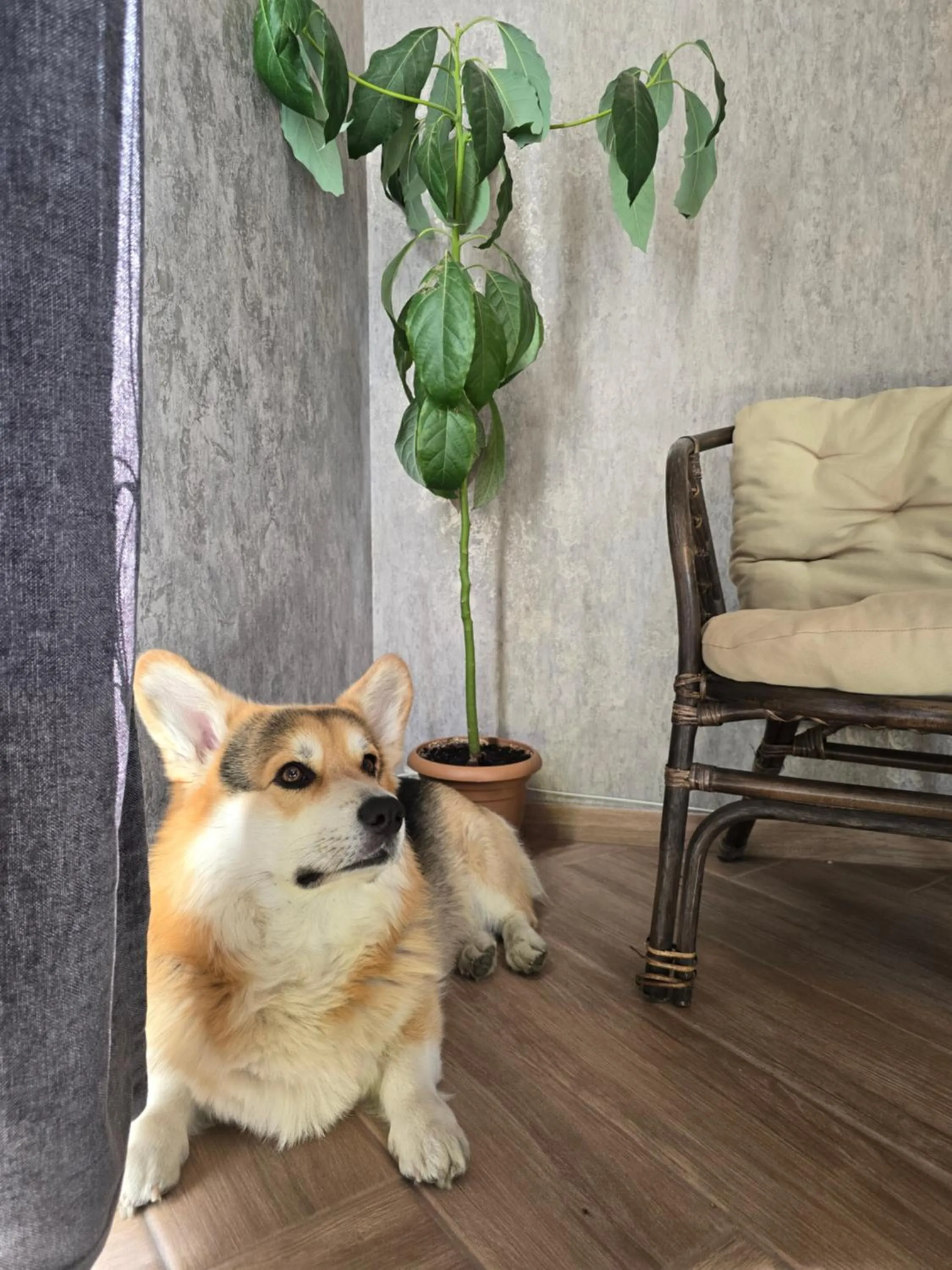 Living room in Kazbegi Folk Cottages