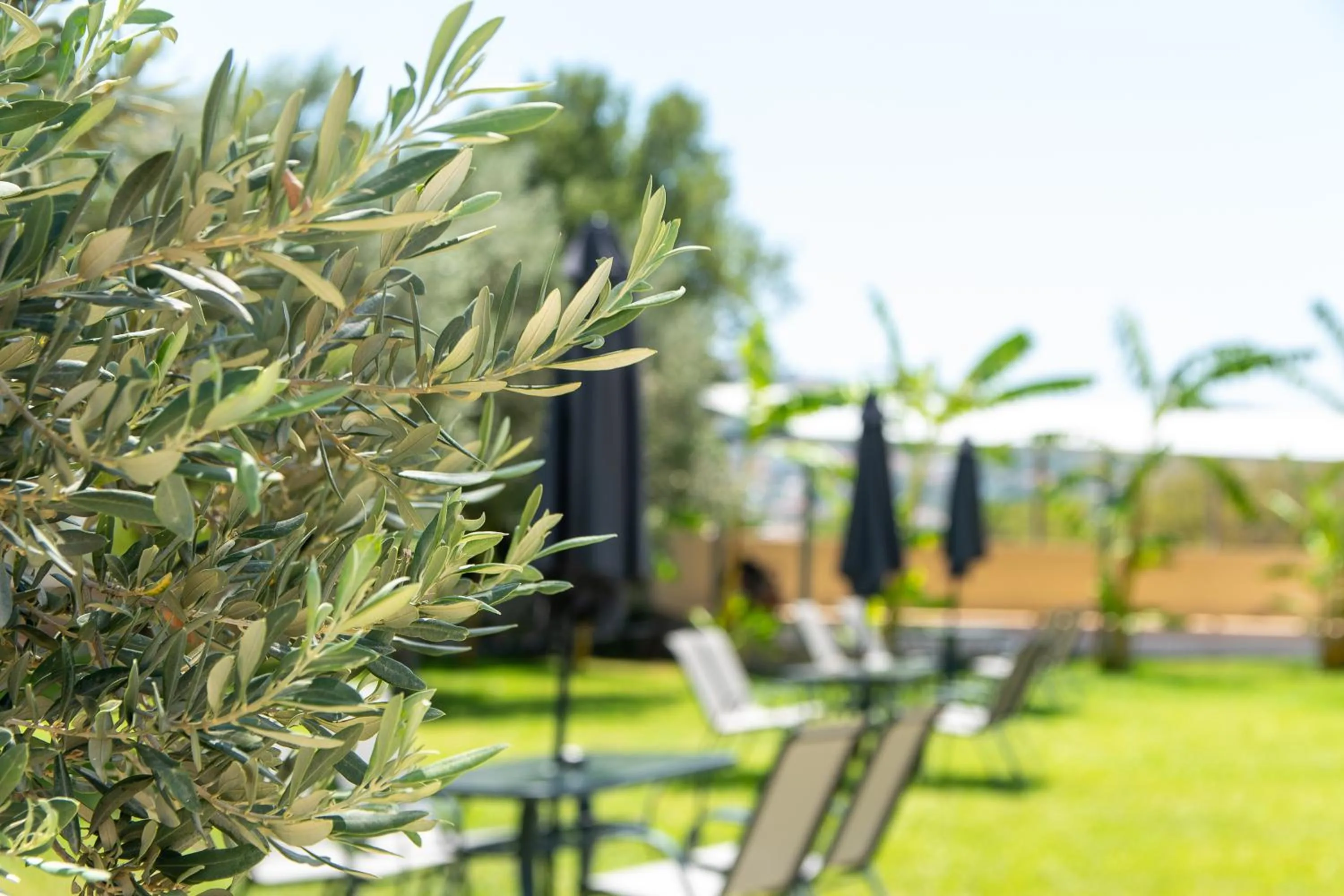 Garden view in Airscape Hotel Free Shuttle From And To Athen's Airport