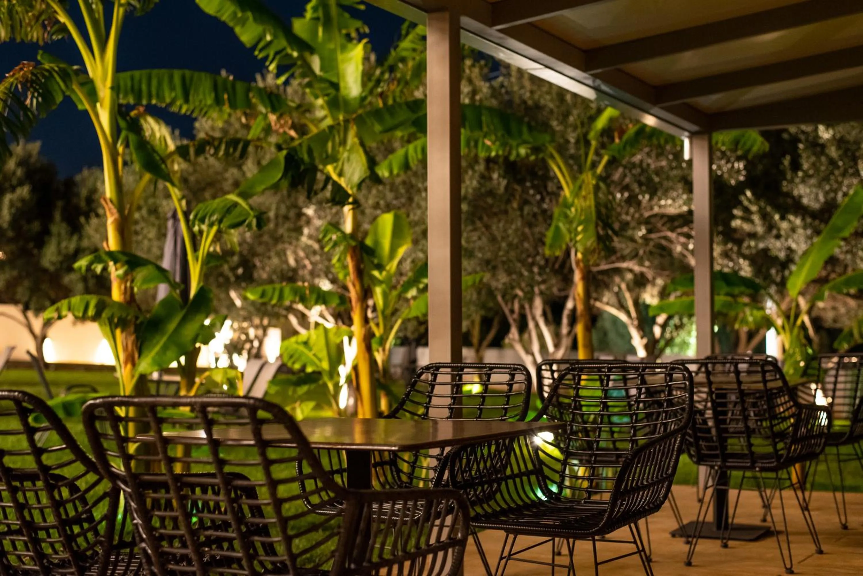 Garden in Airscape Hotel Free Shuttle From And To Athen's Airport