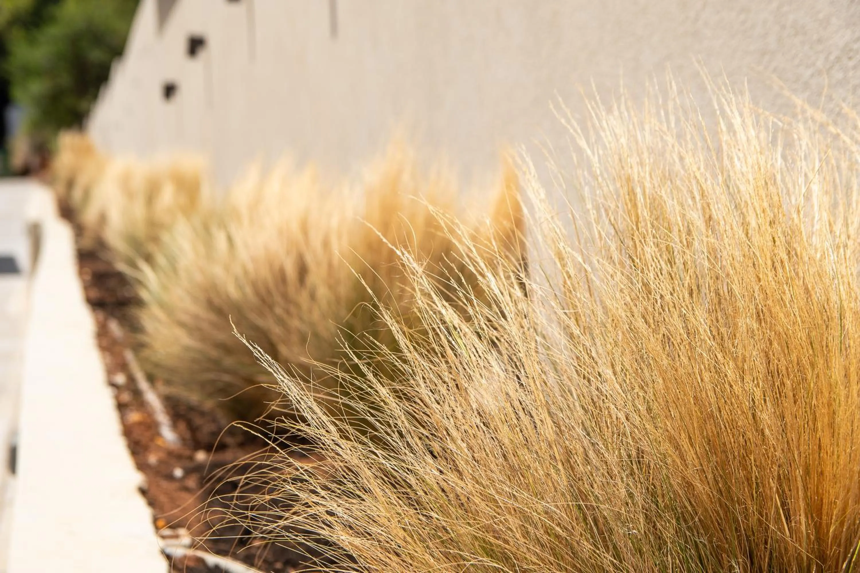 Day in Airscape Hotel Free Shuttle From And To Athen's Airport