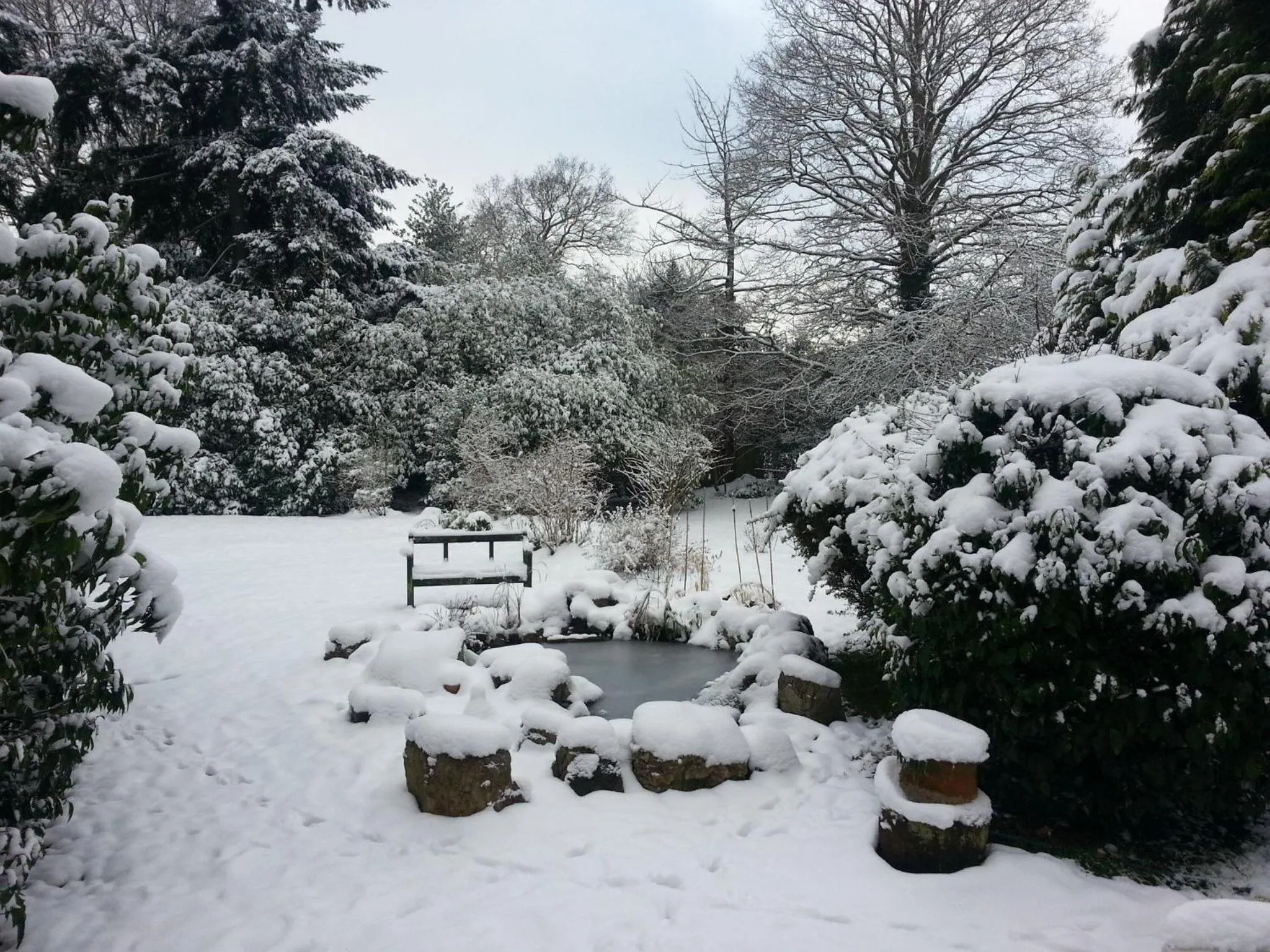Garden in Rosemead Guest House