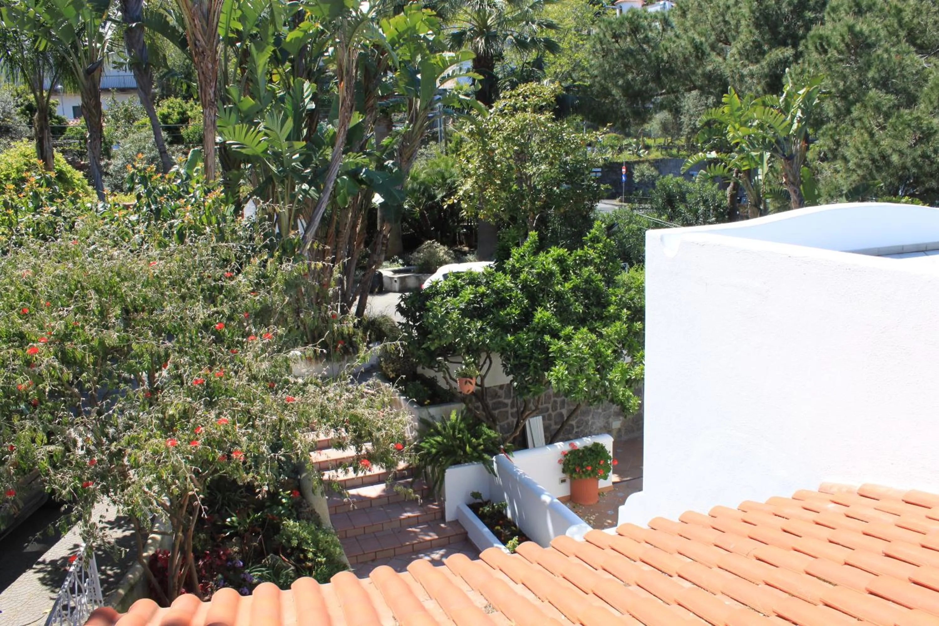 Facade/entrance in Villa Marinella