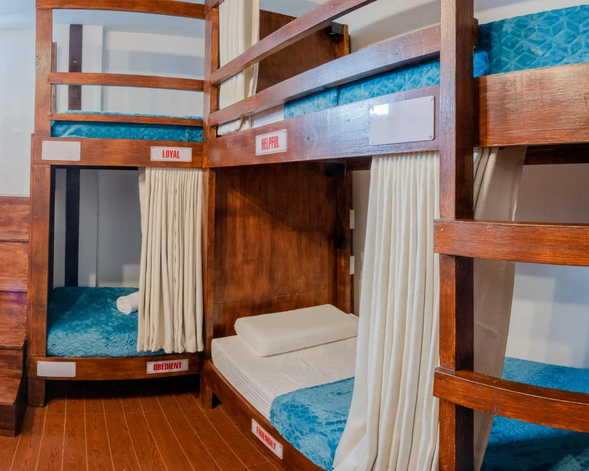 bunk bed, Bed in Public House Hostel