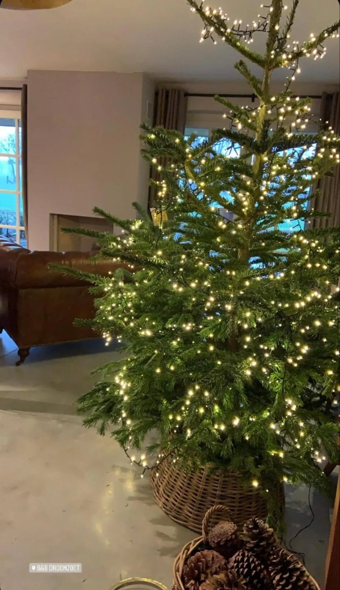 Communal lounge/ TV room in B&B Droomzoet