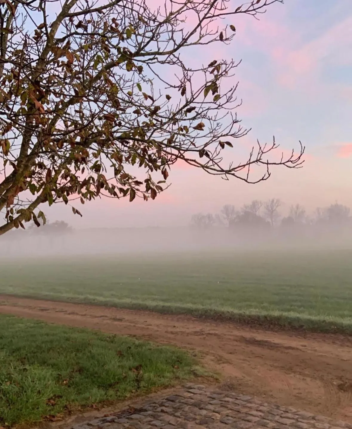 View (from property/room) in B&B Droomzoet