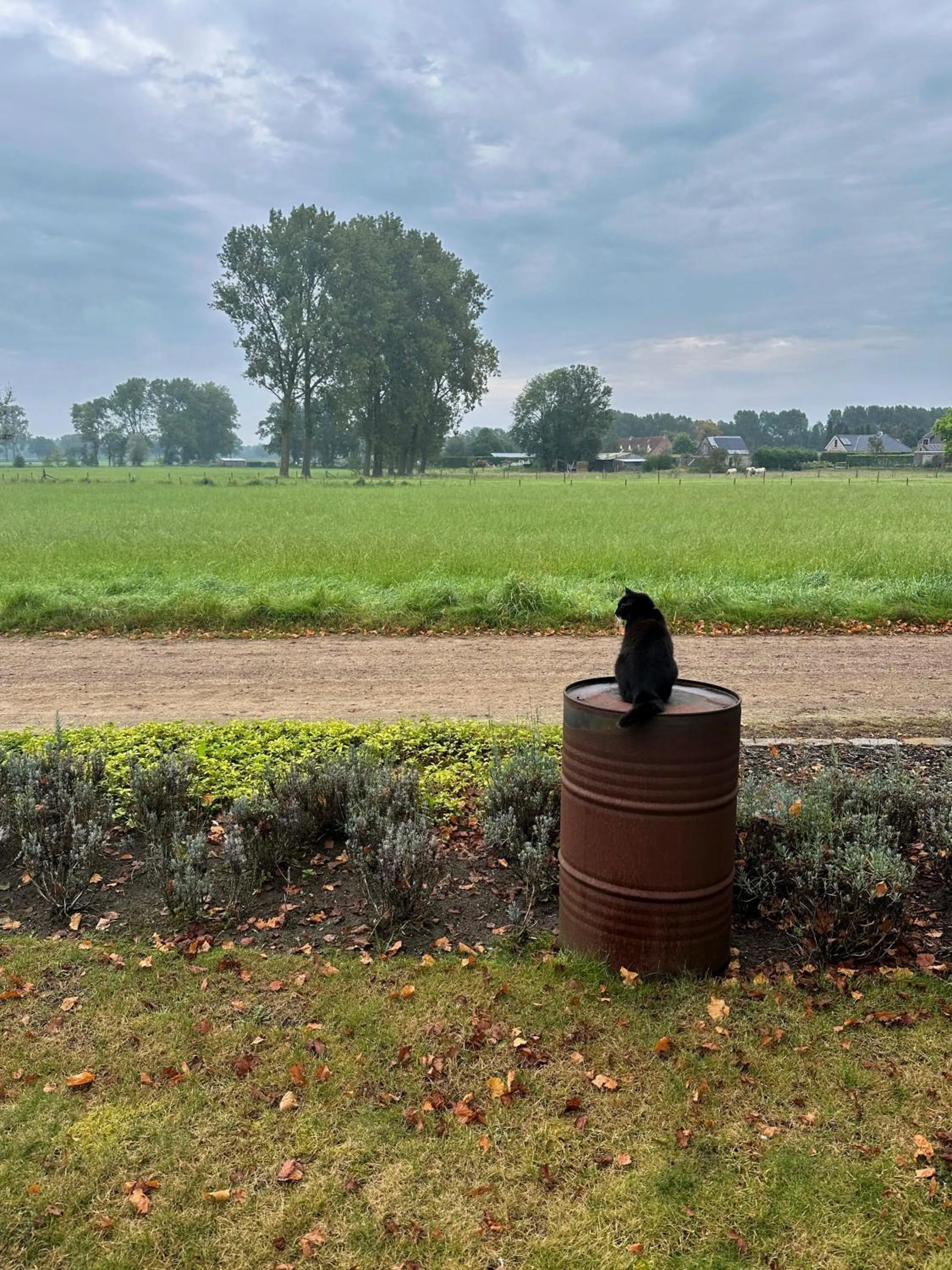 View (from property/room) in B&B Droomzoet
